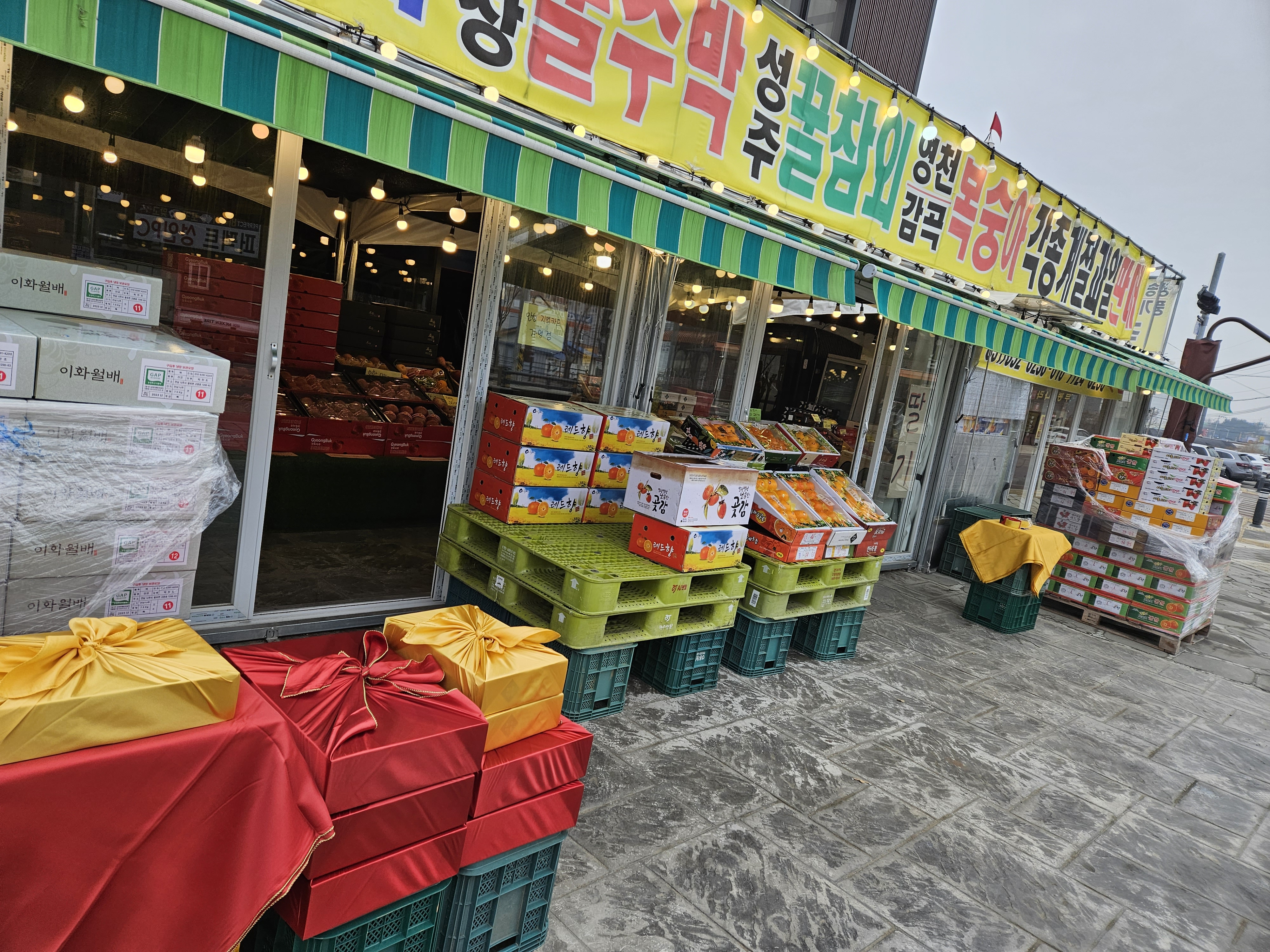 시온청과