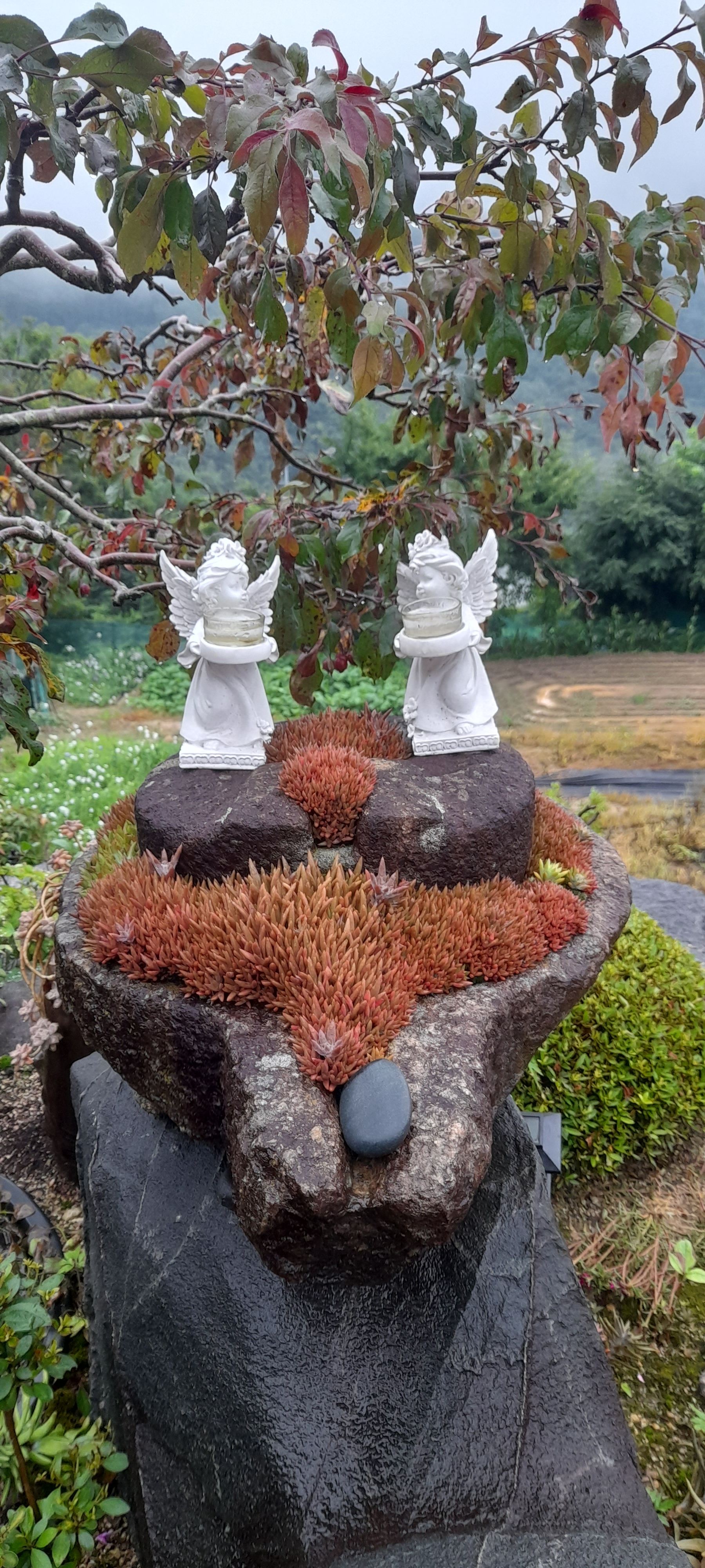 희자네민박