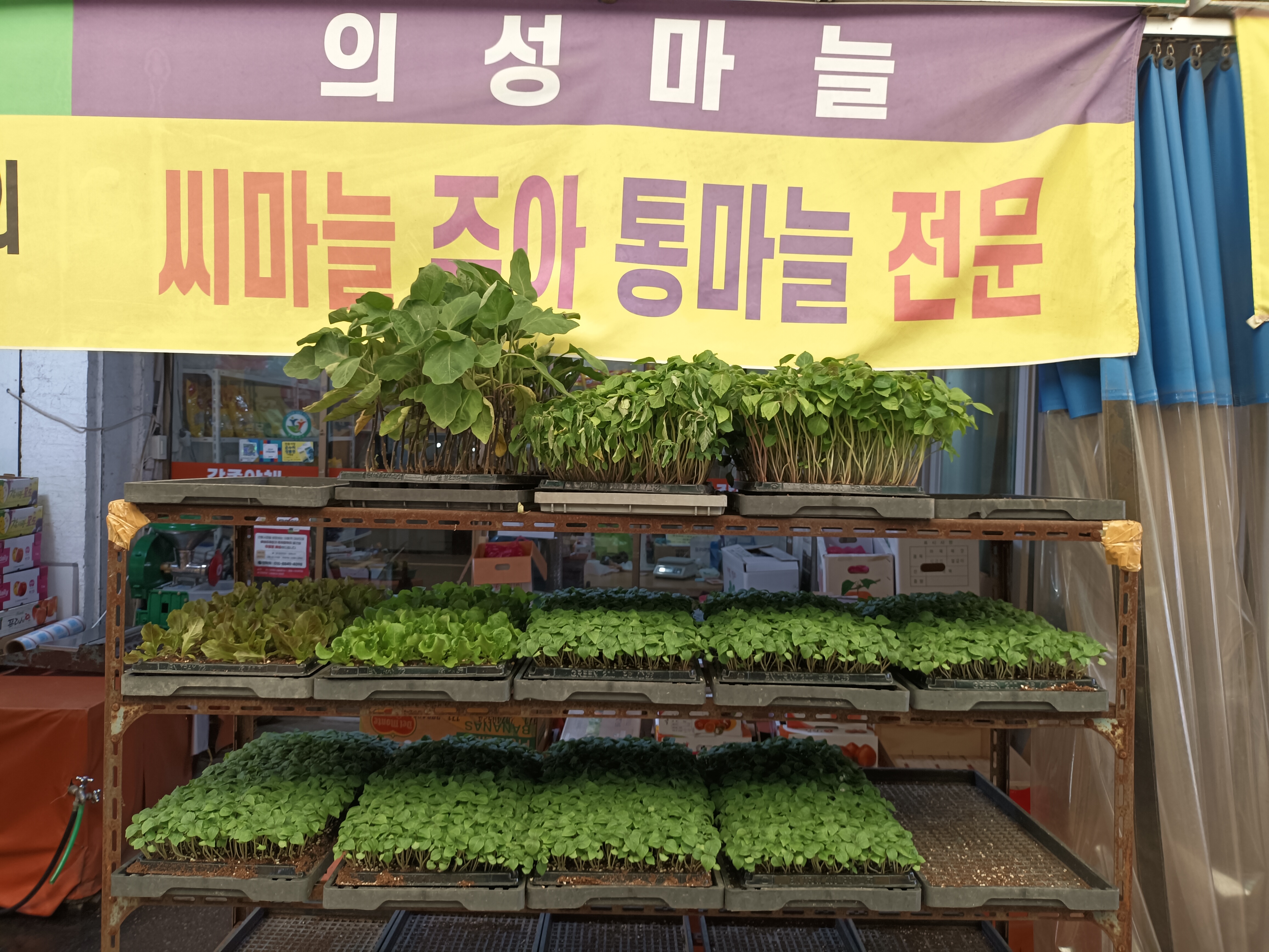 진성상회