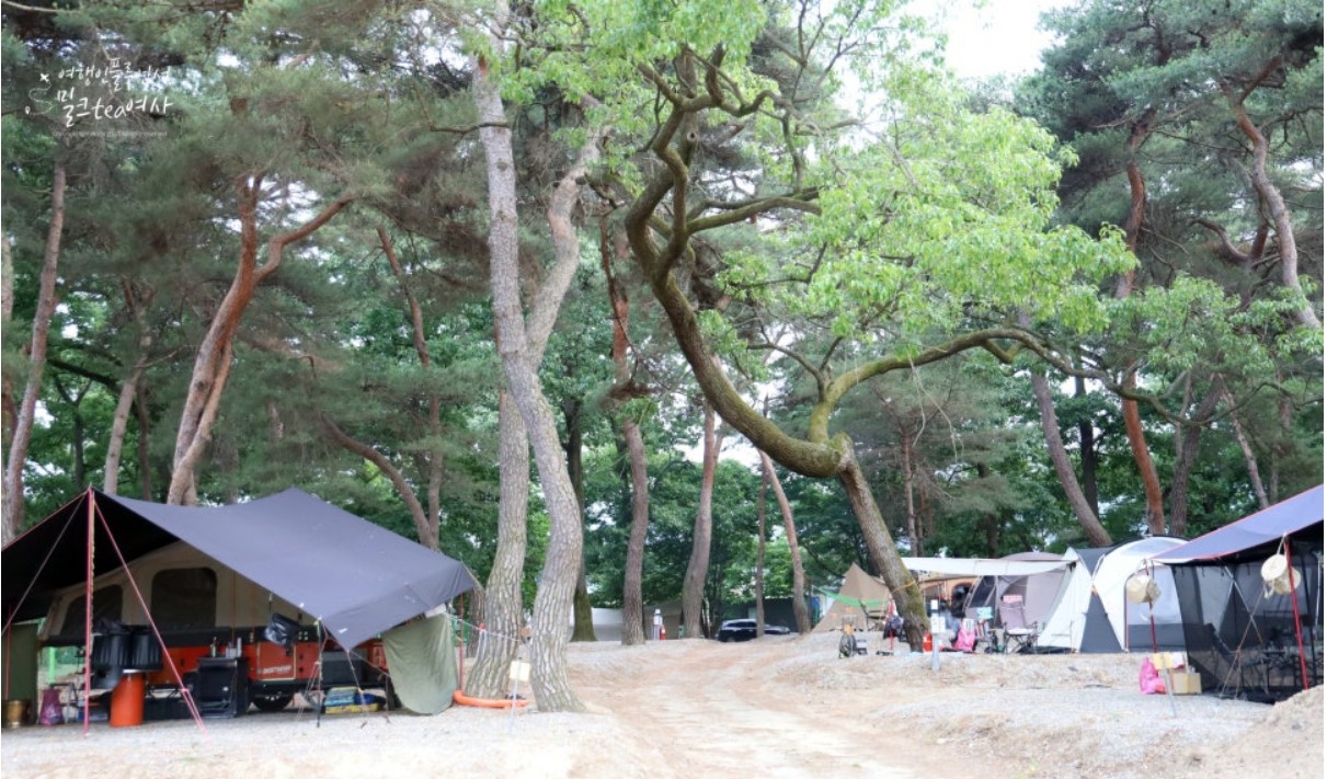 후평숲캠핑장