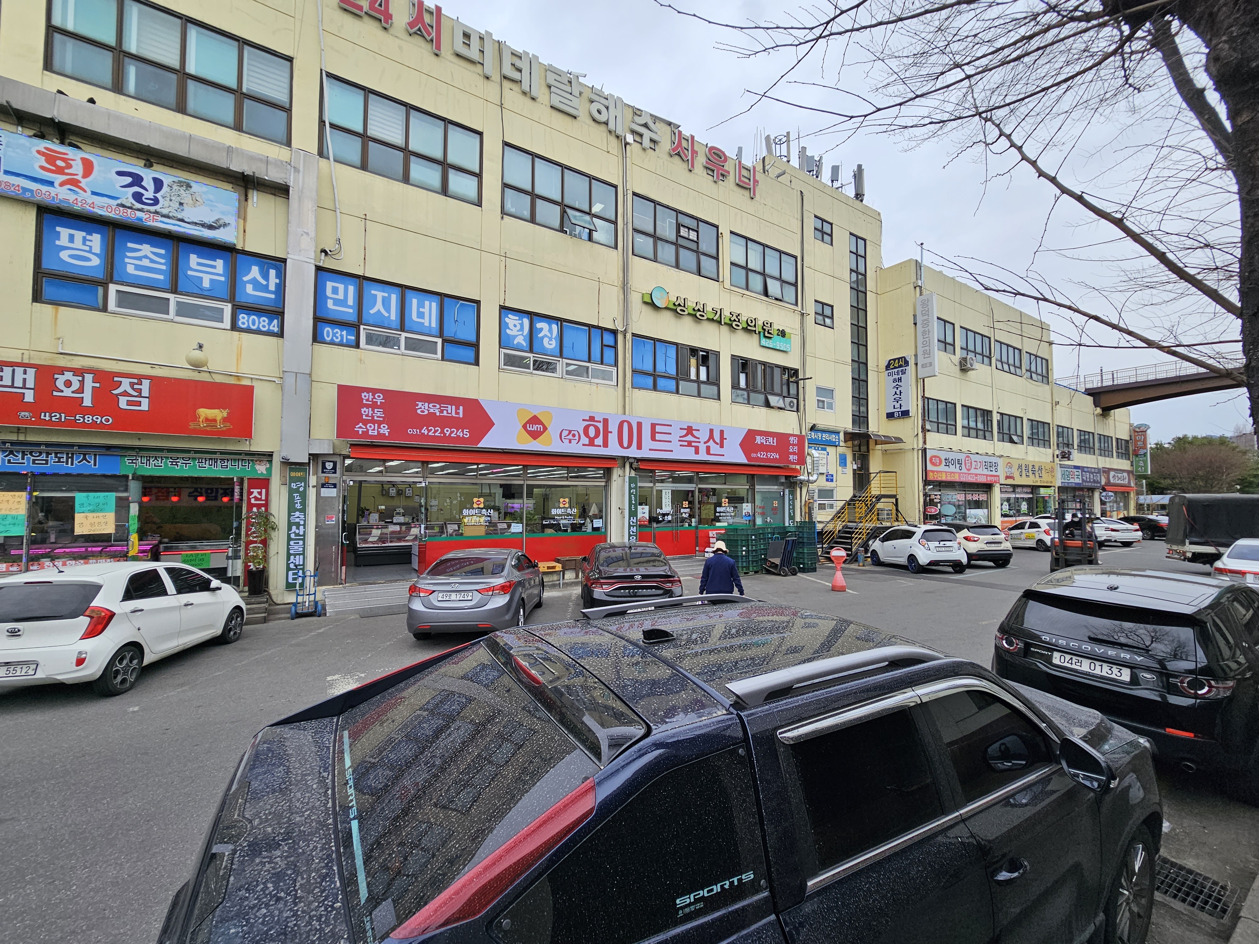 화이트축산