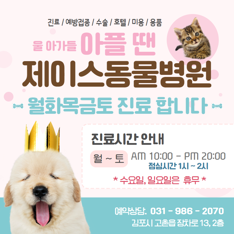 제이스동물병원 대표 이미지