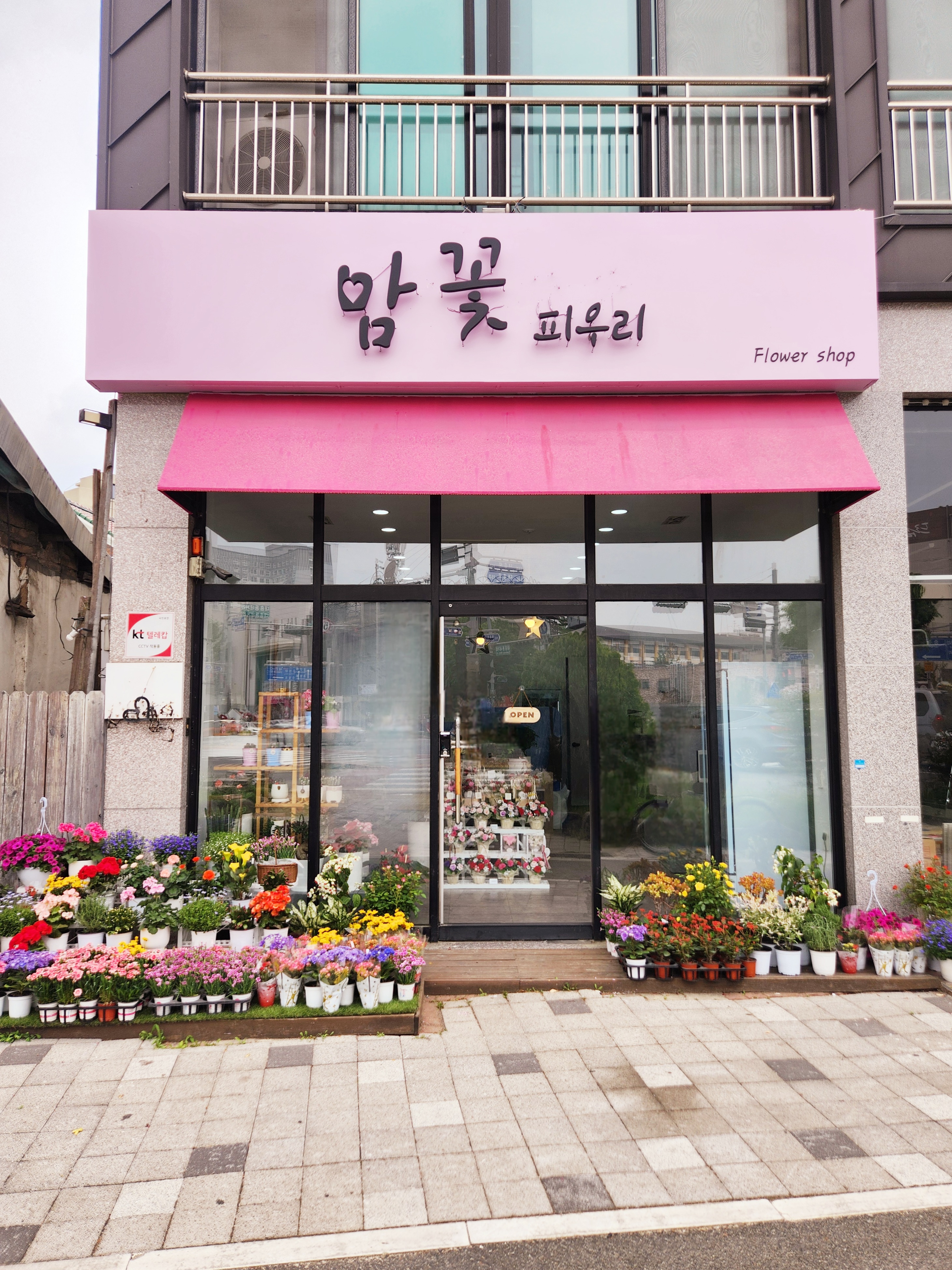 맘꽃피우리