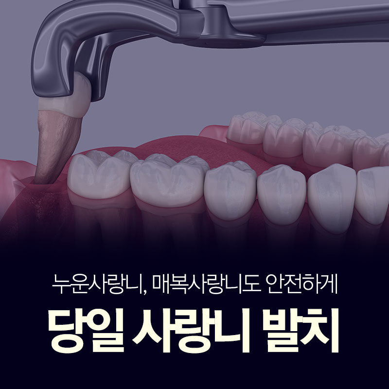 다홍치과의원 대표 이미지