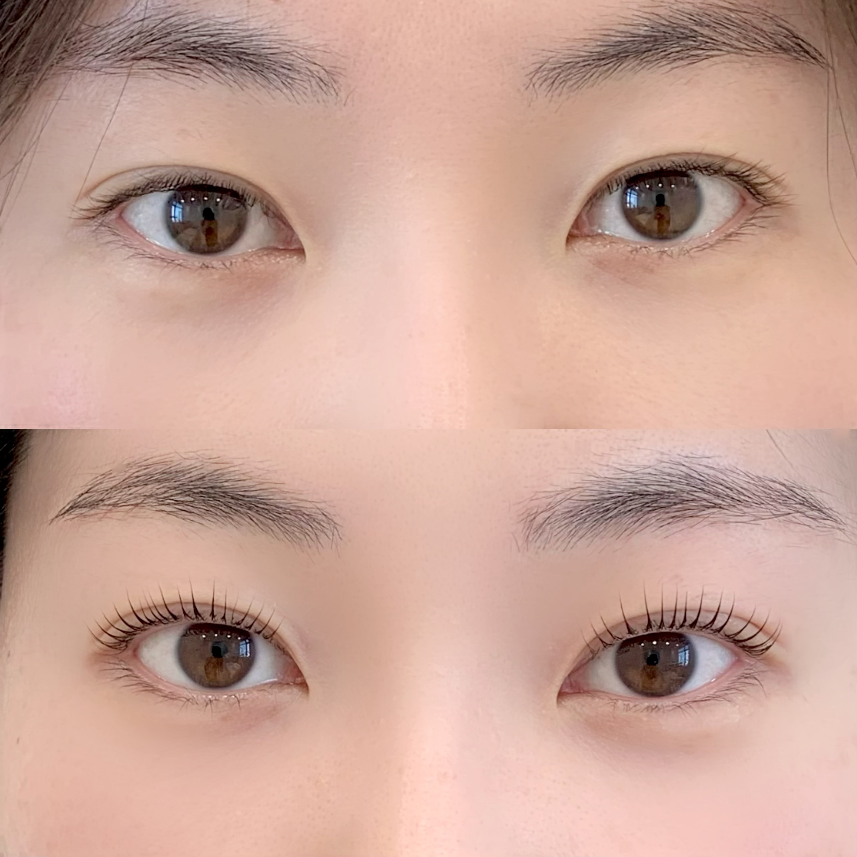 르엘브로우 대표 이미지