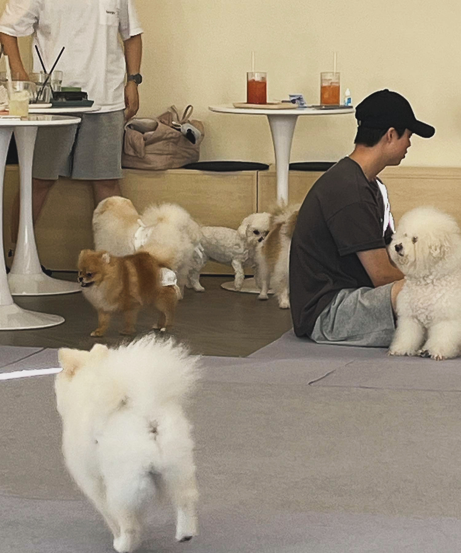 베이크노트 5