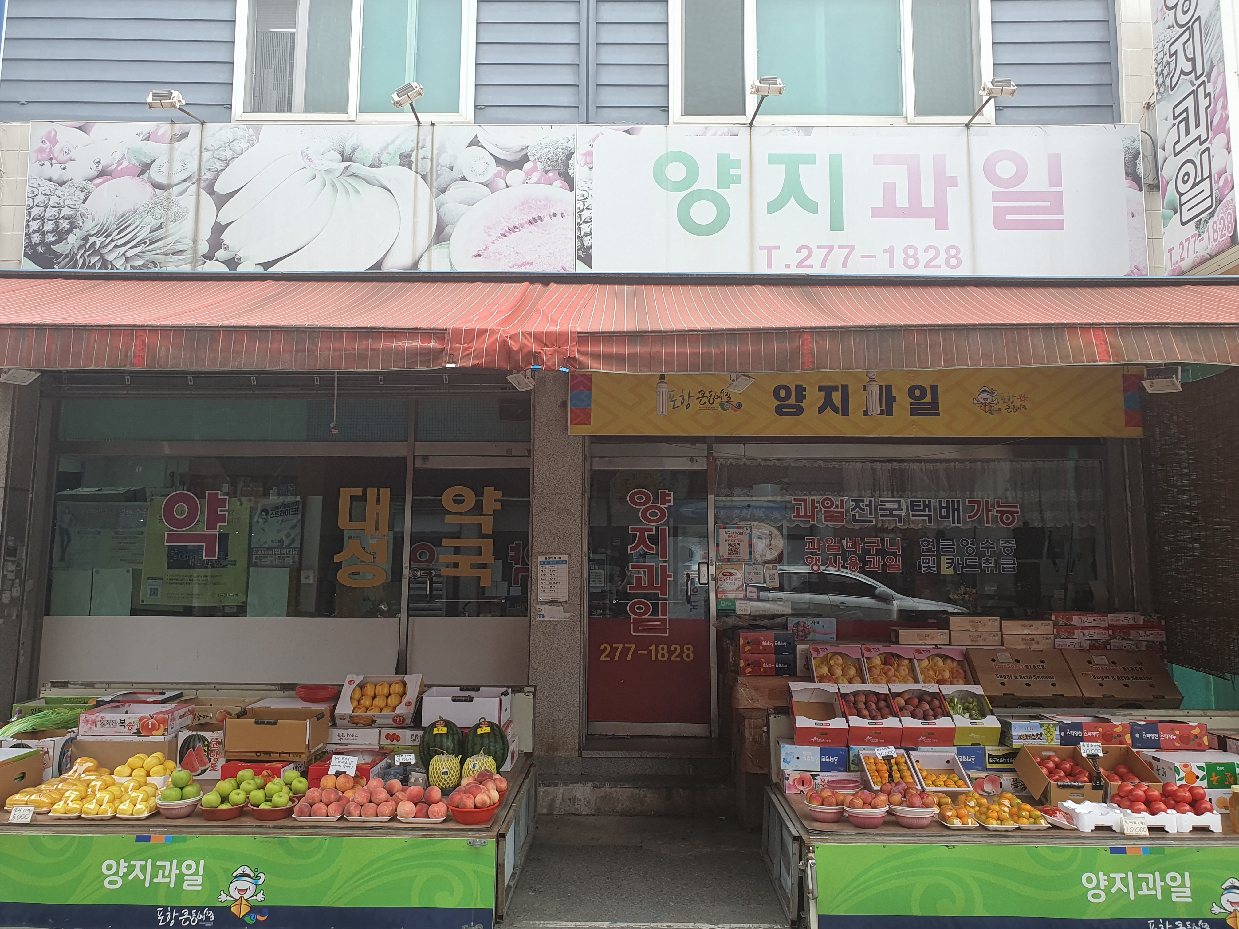 양지과일