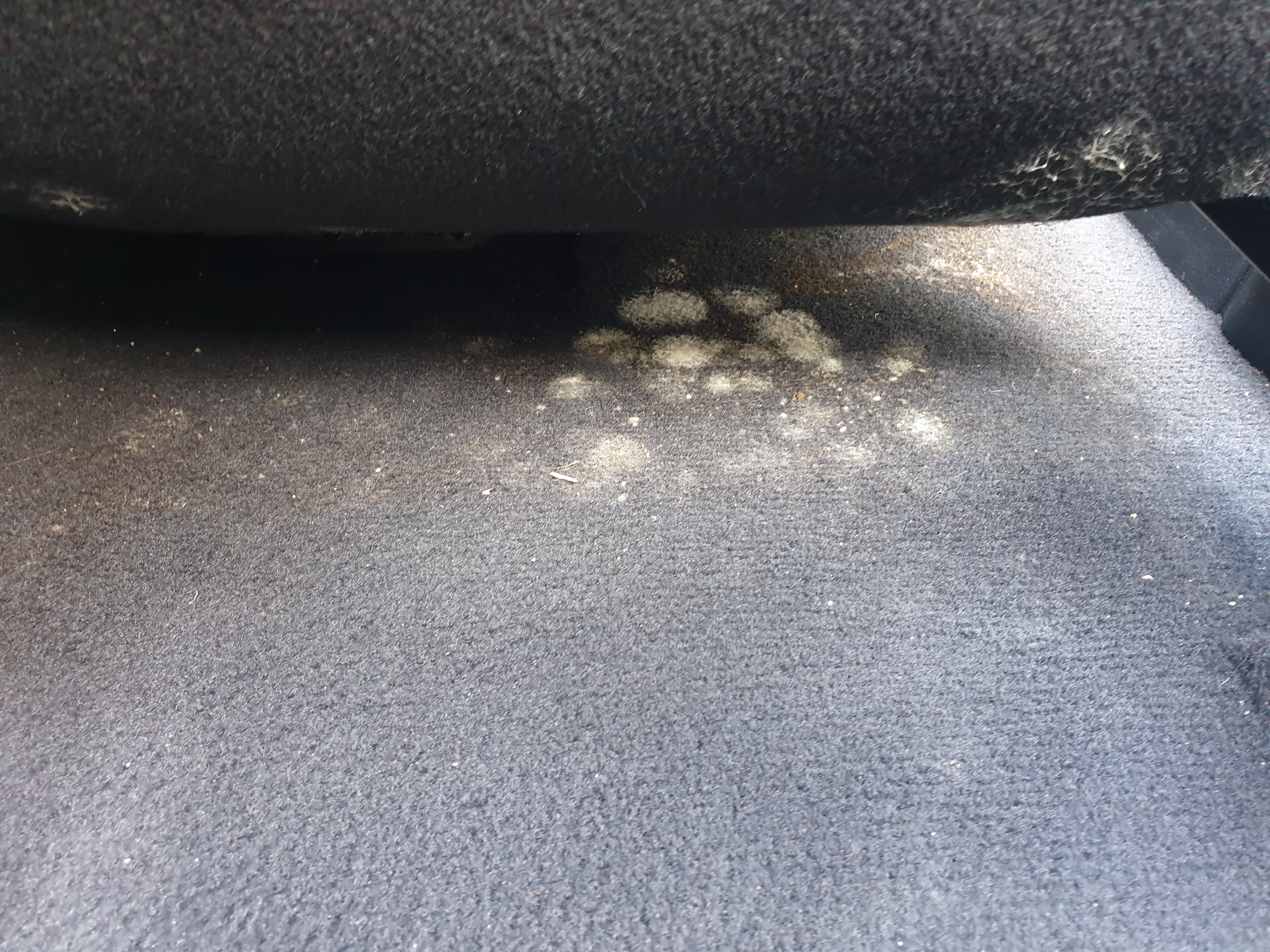 만능DETAILING