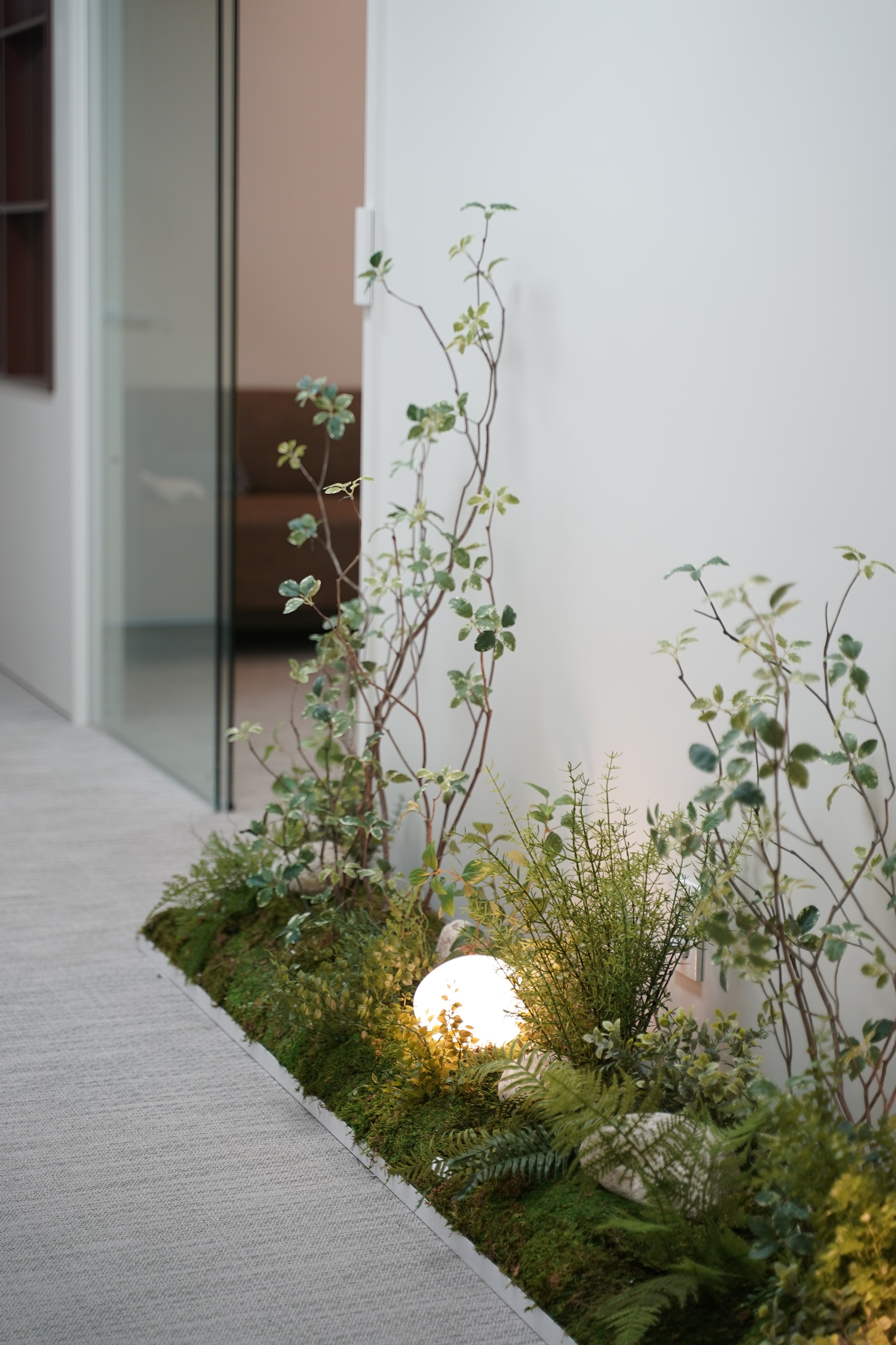 사월의봄 한의원 대표 이미지