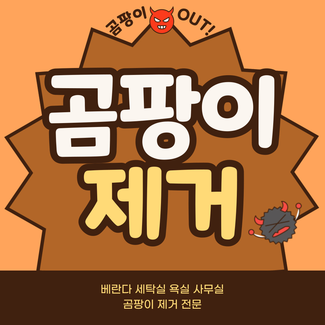 곰팡이제거 대표 이미지