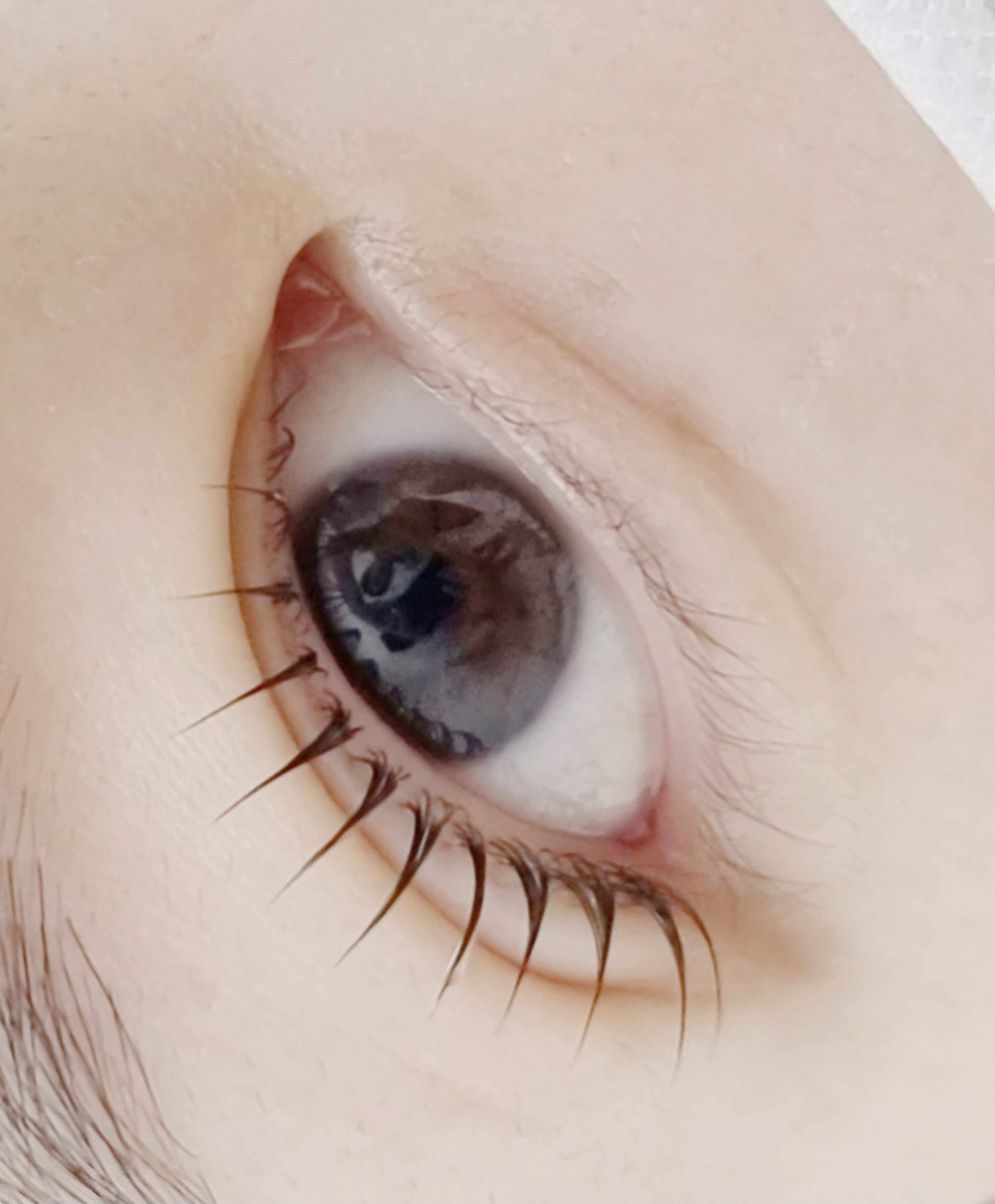 래쉬걸 대표 이미지