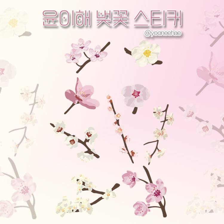 윤이해