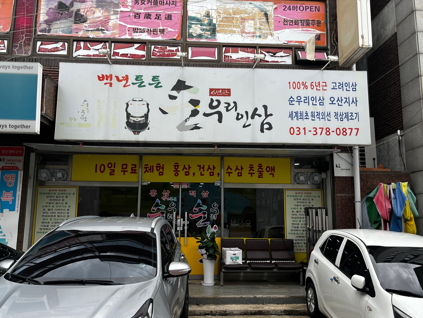 순우리인삼