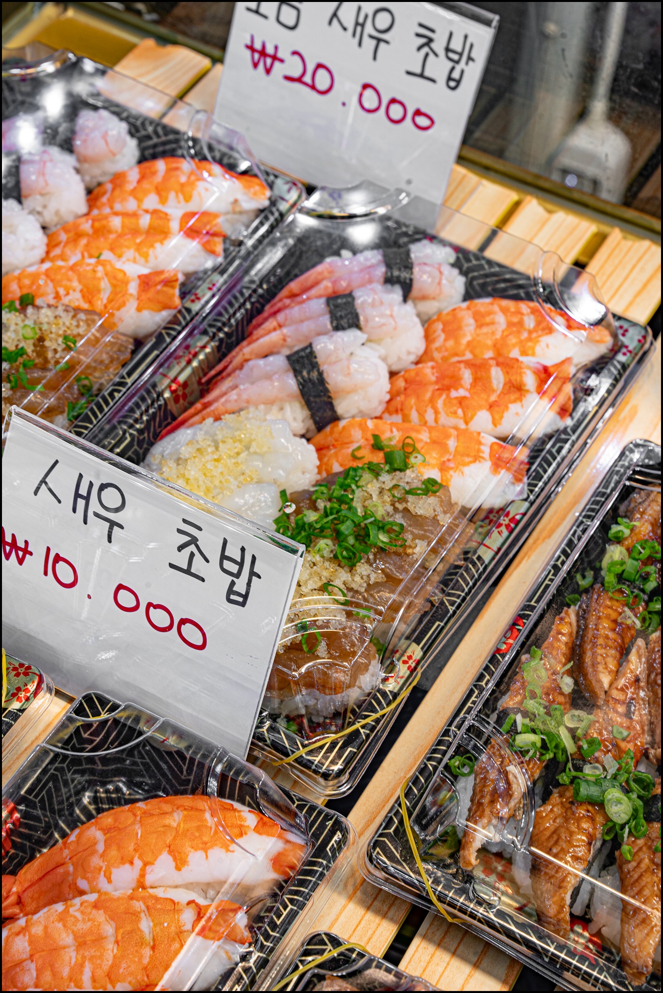 속초대일호방어