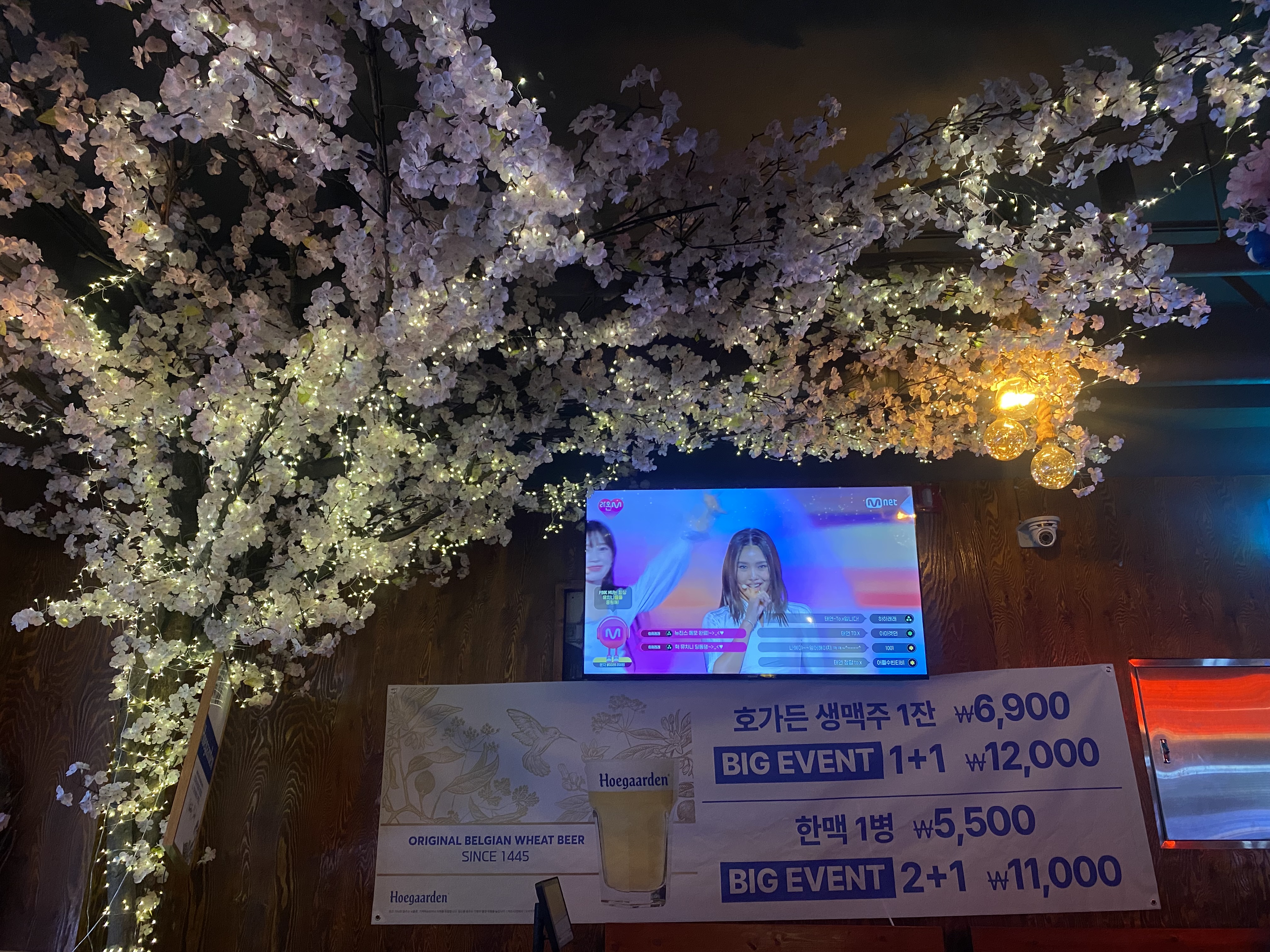 두꺼비로멘스 고대안암점