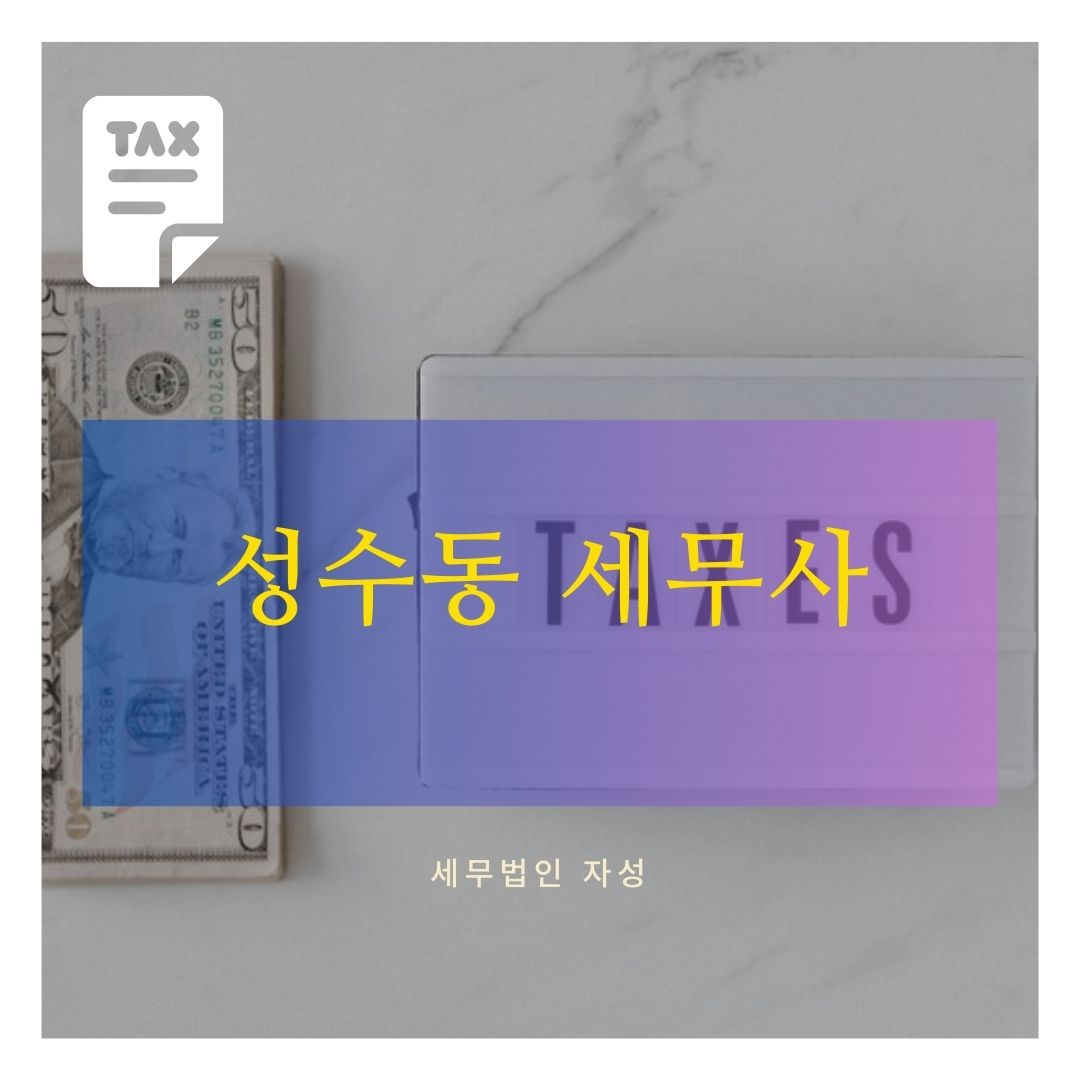 자성 세무회계