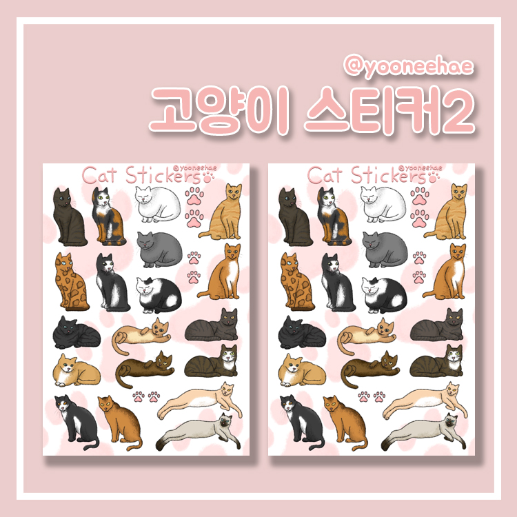 윤이해