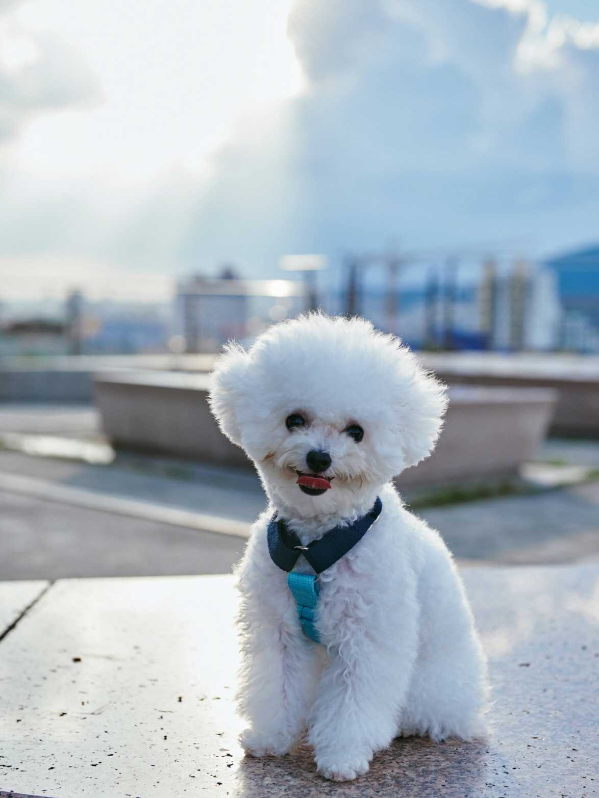 JND 대표 이미지