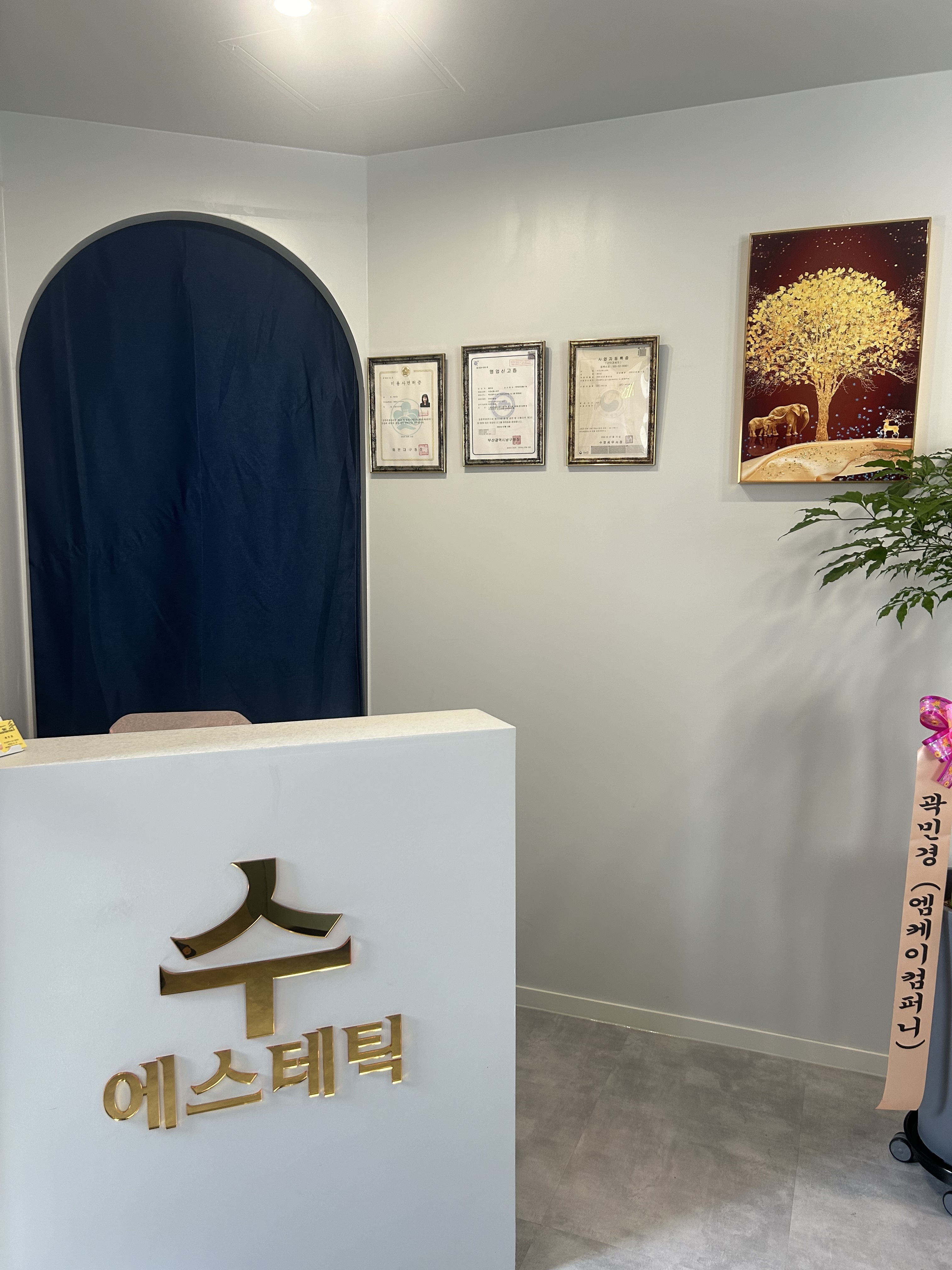 수 에스테틱