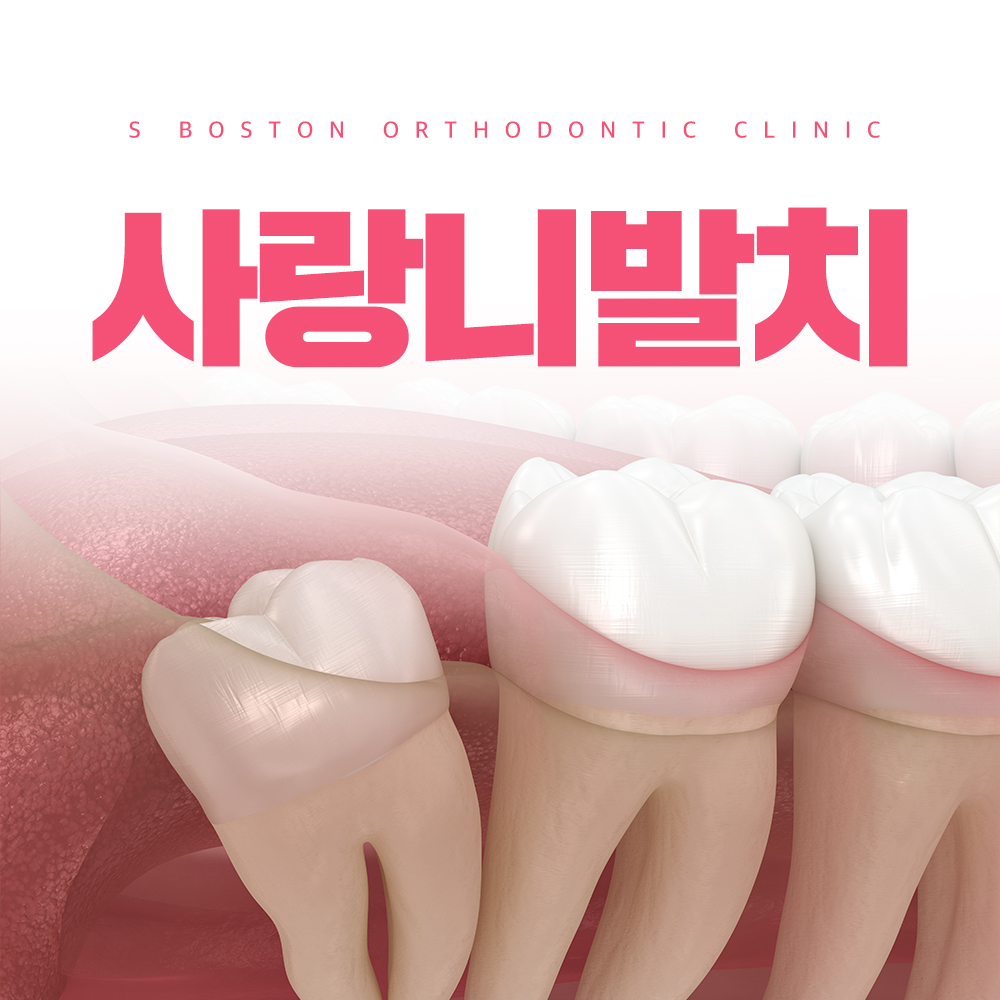에스보스톤치과교정과치과의원