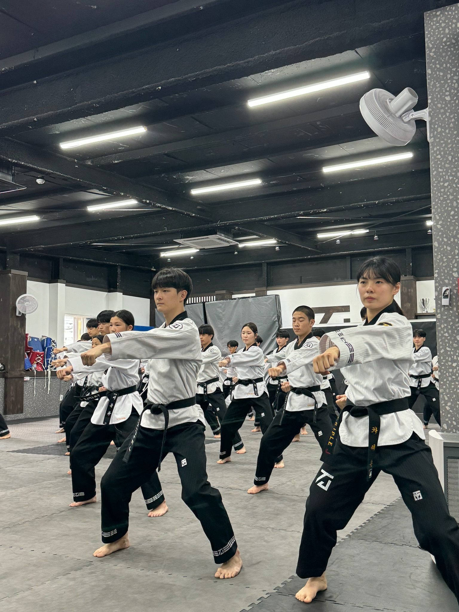 트리플제이태권도