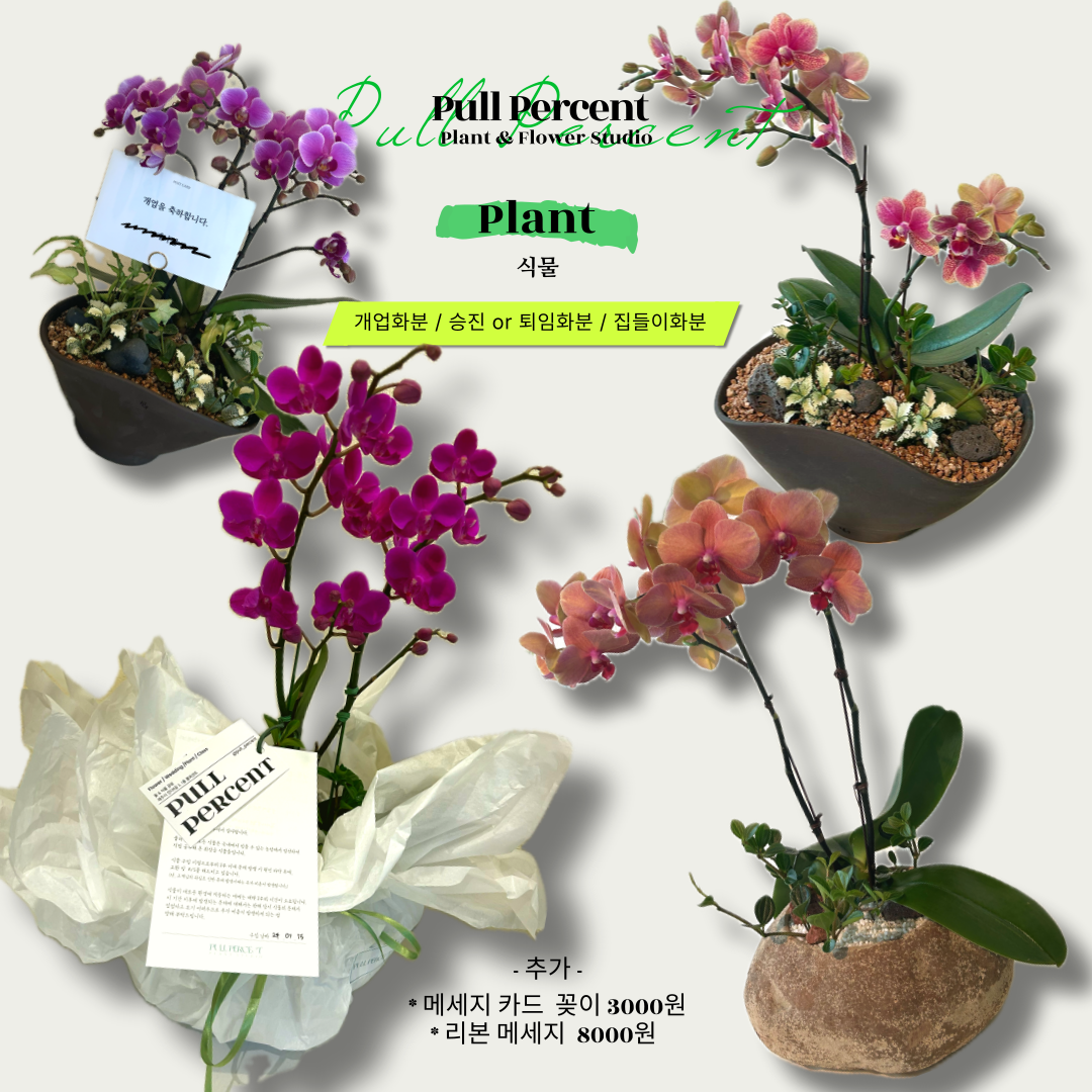 풀퍼센트