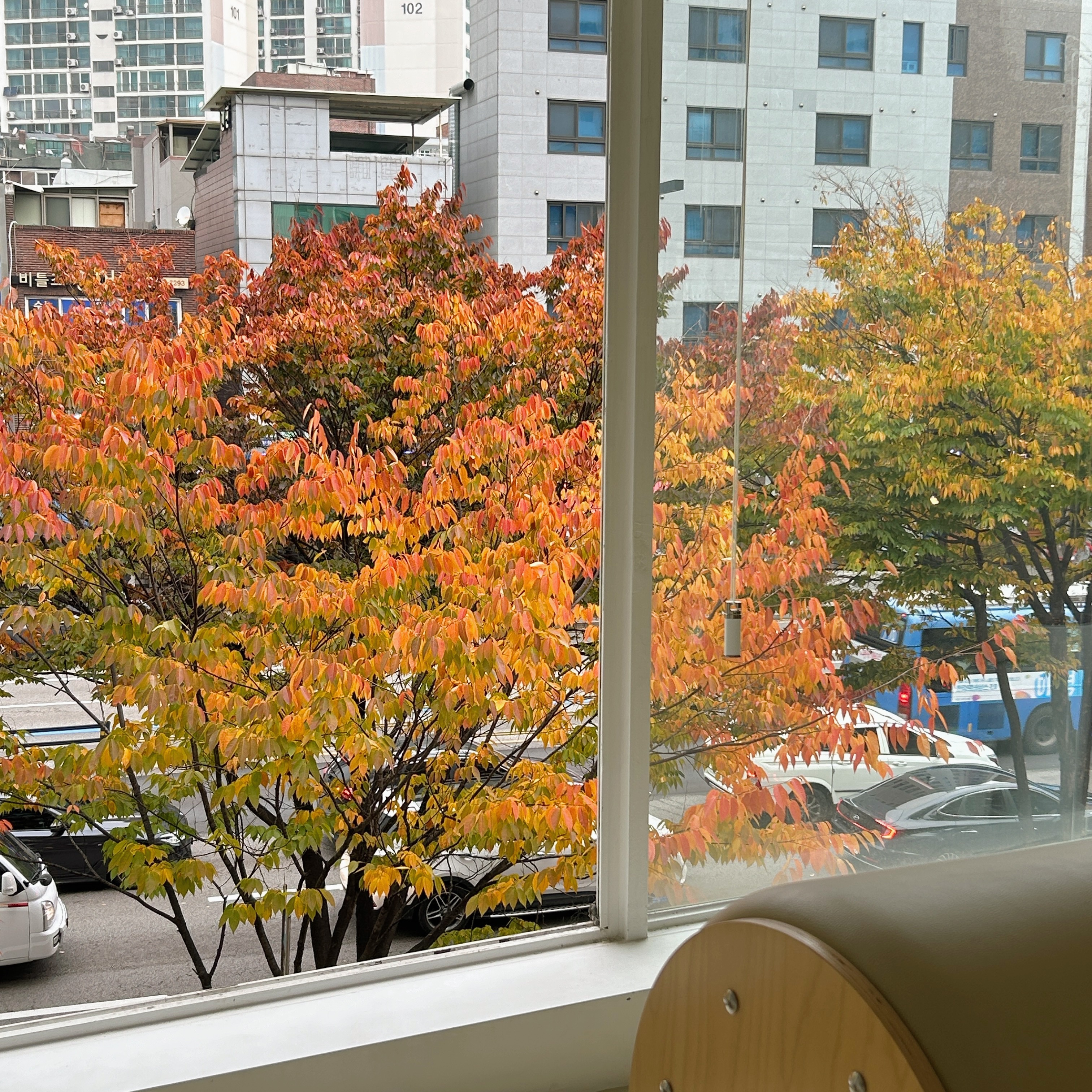 슬기로운 필라테스 대표 이미지