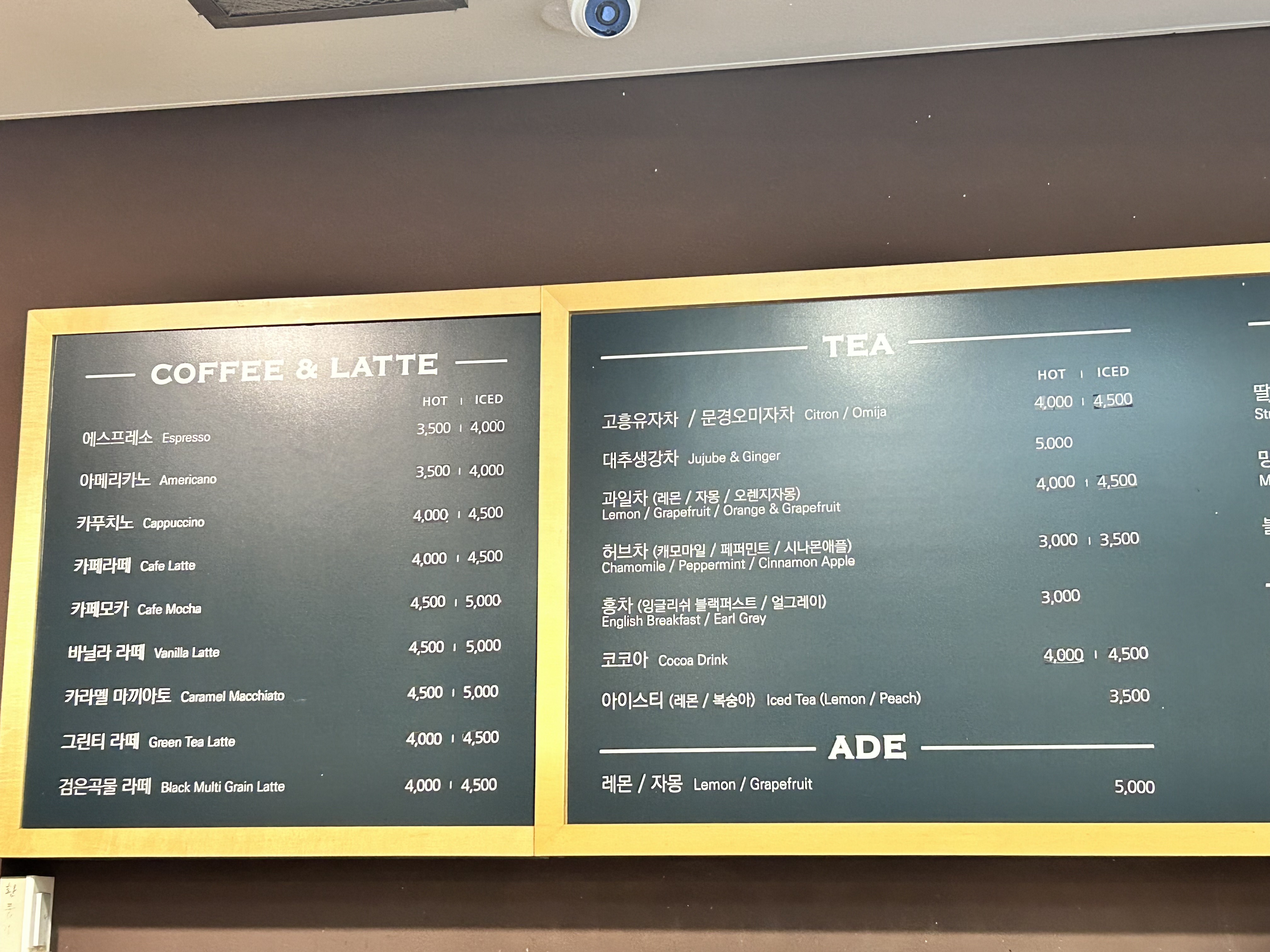 포도나무