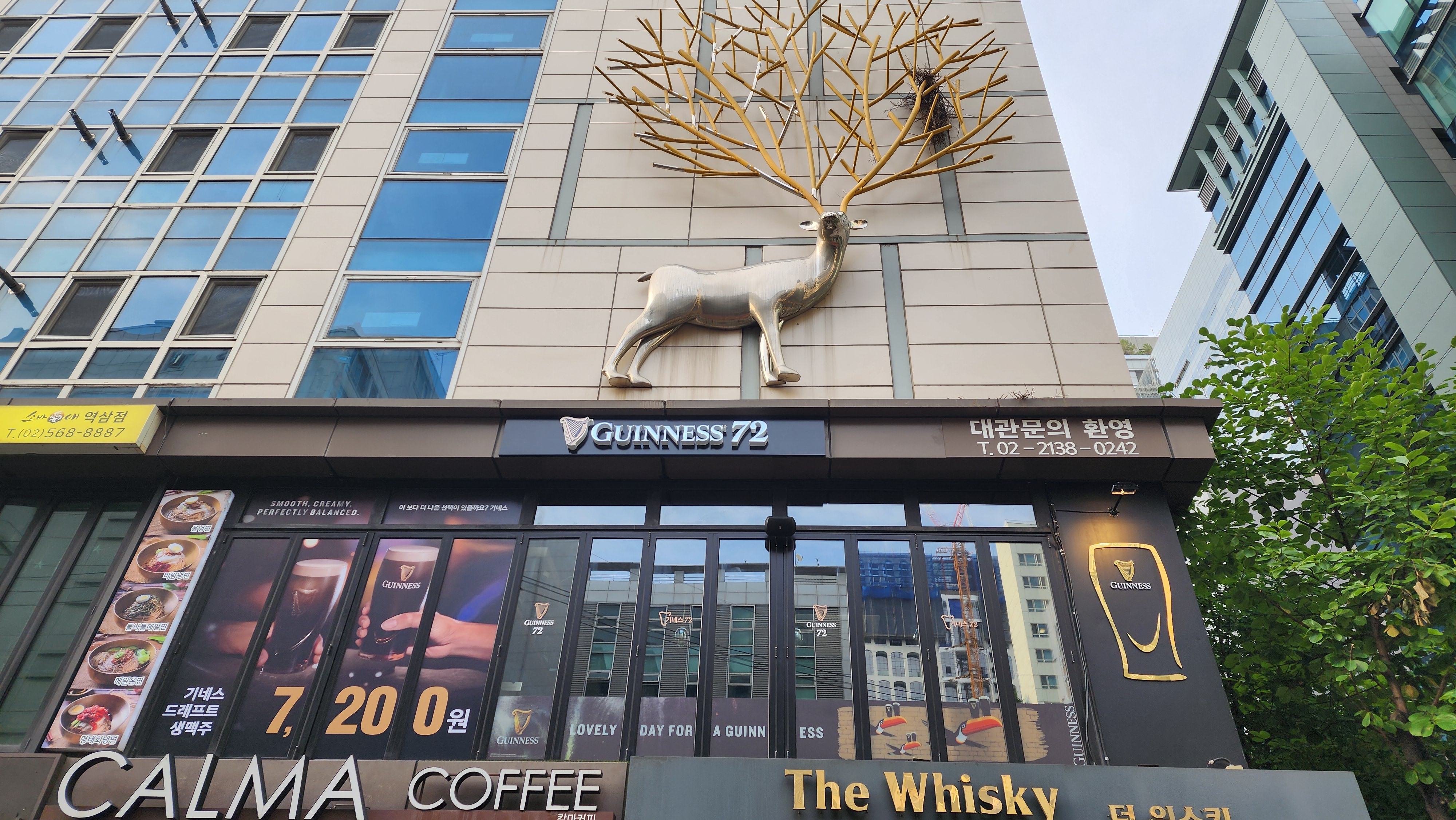 기네스72 역삼초교