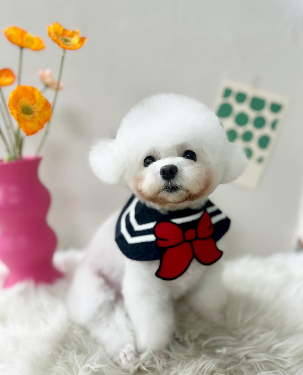 헤이댕댕 2