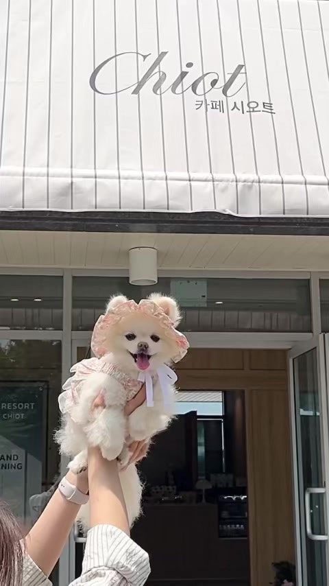 여수 시오트 카페