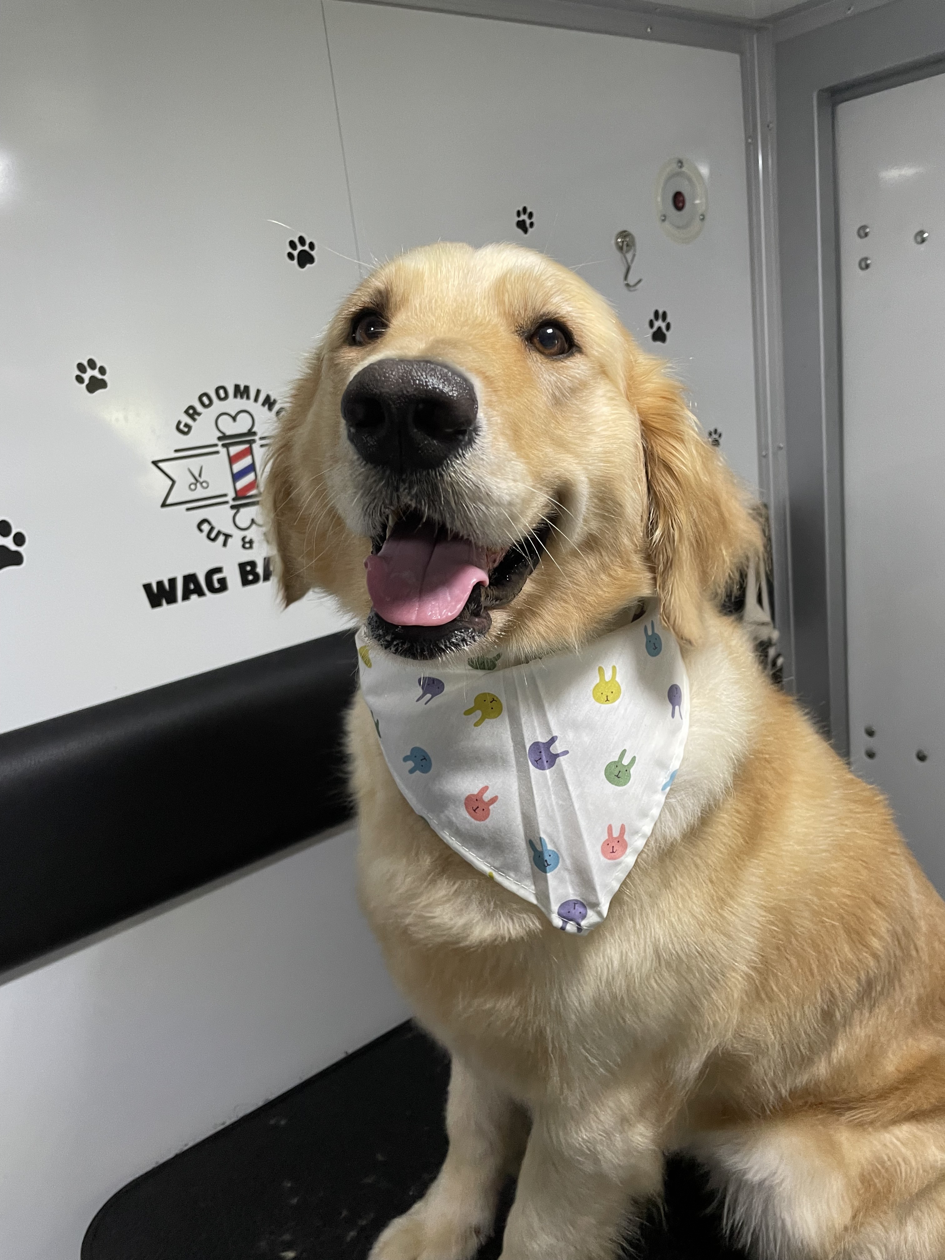 웨그 대표 이미지