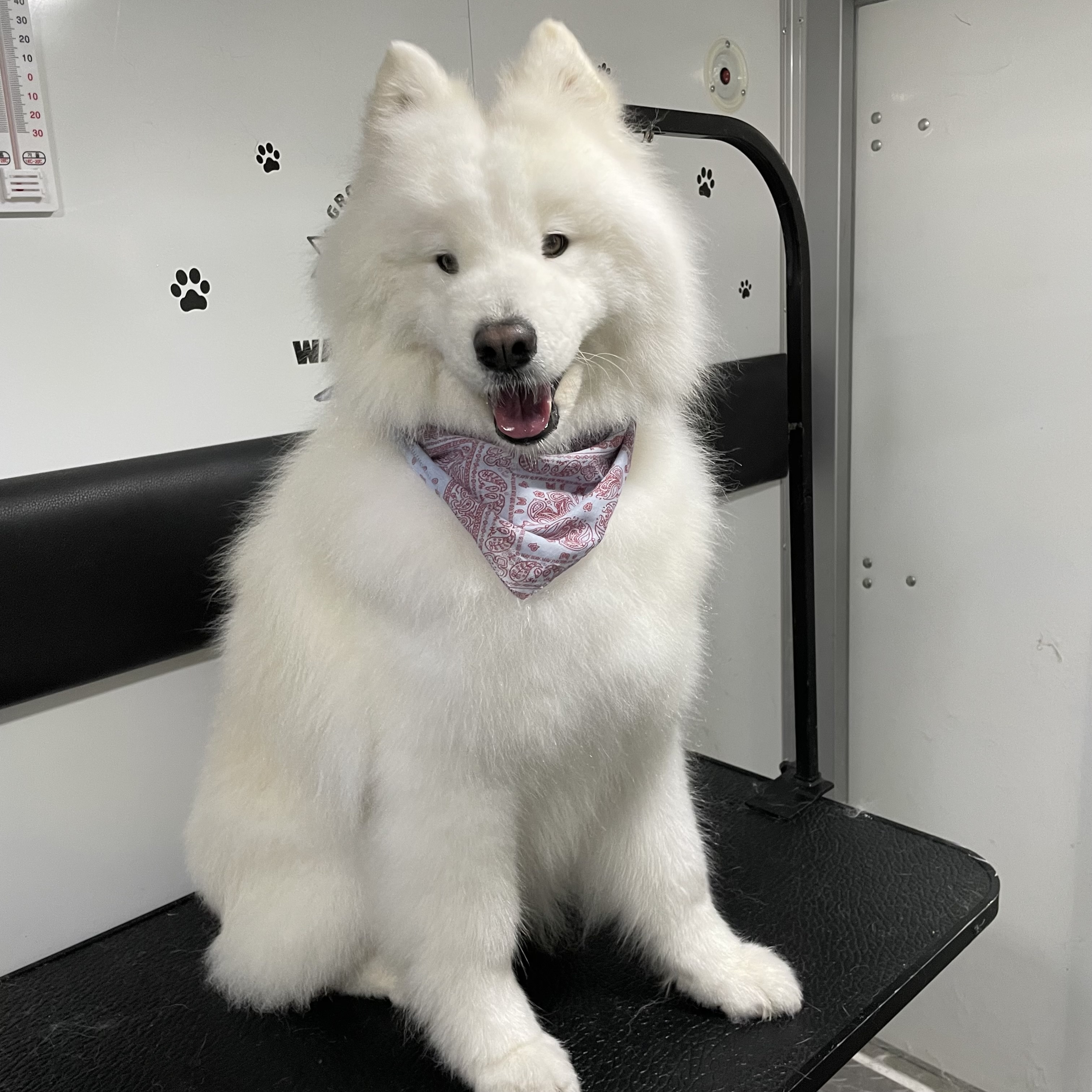 웨그 대표 이미지