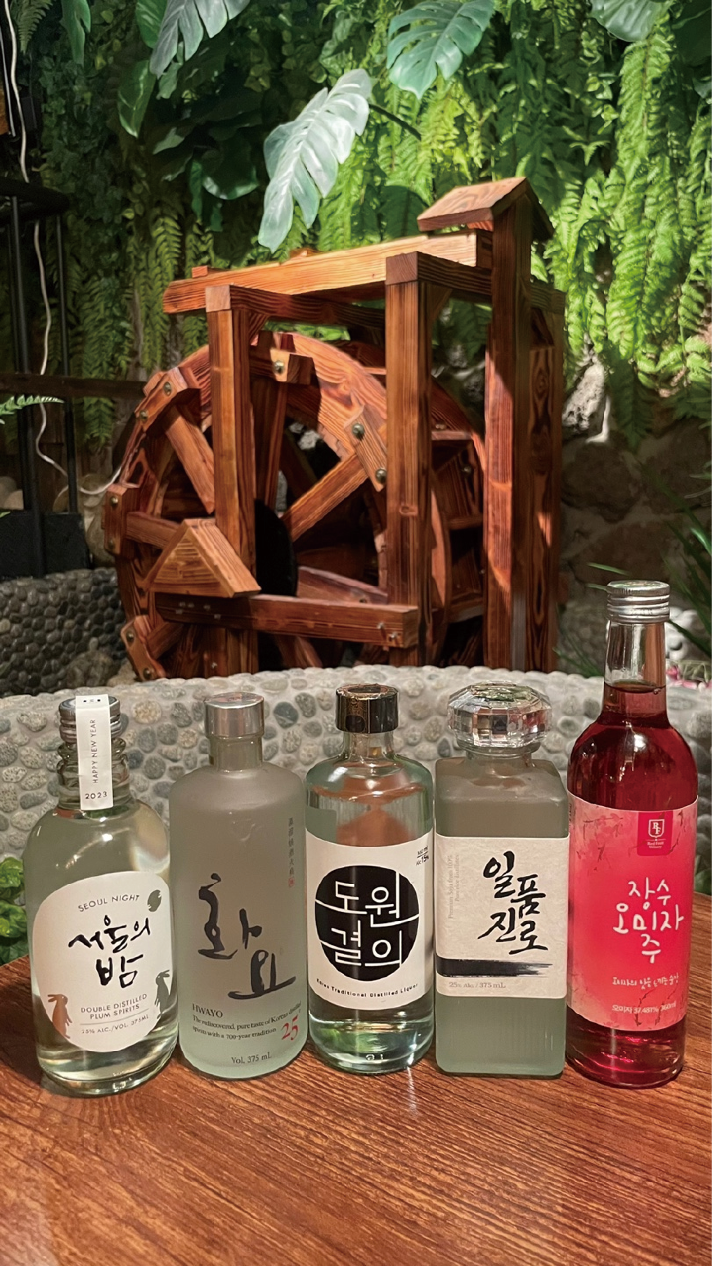 신선술집 도원 건대 본점