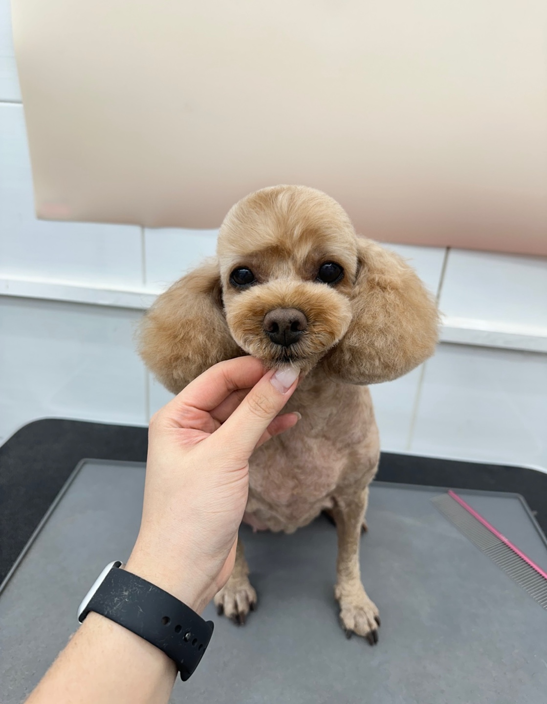 웨그 대표 이미지