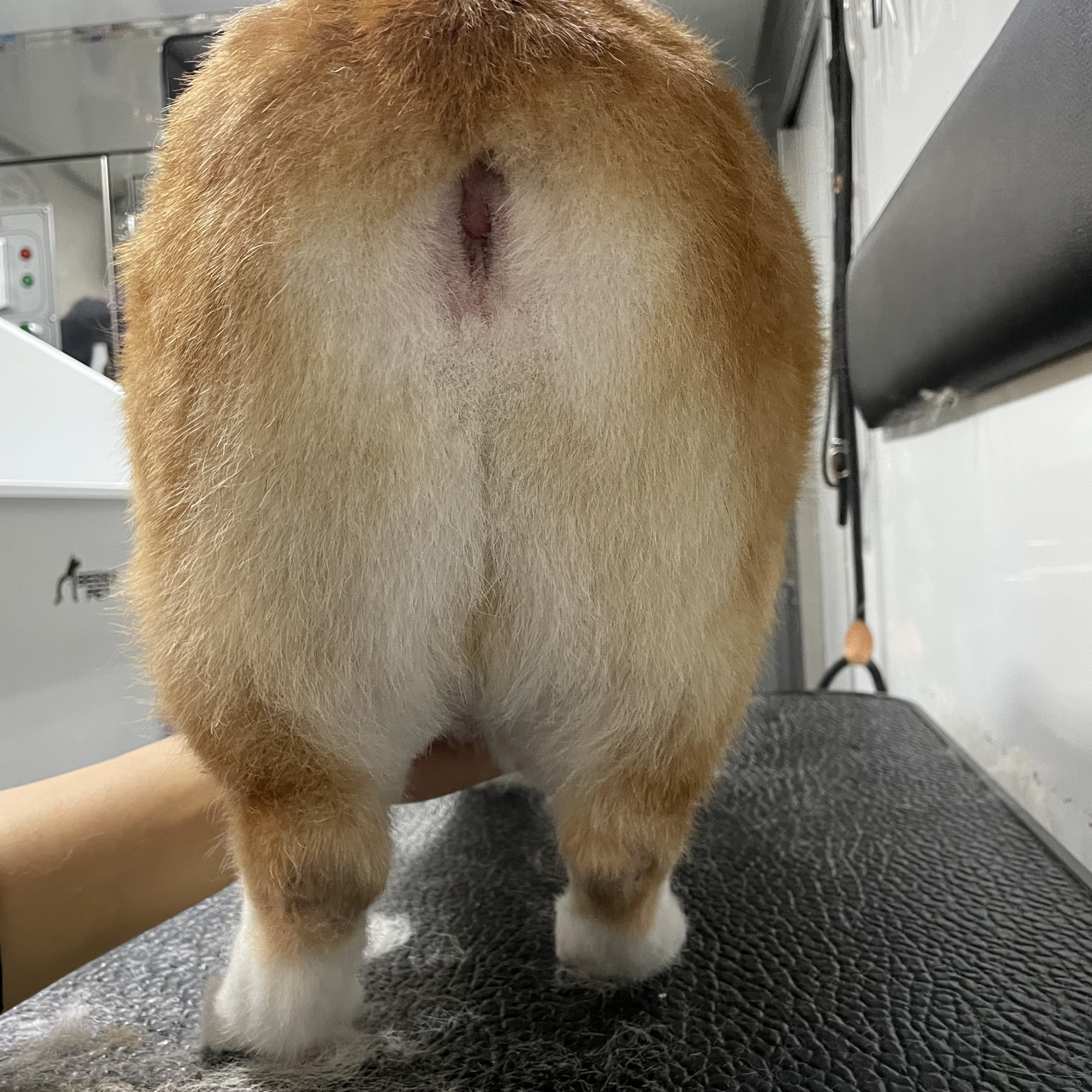 웨그 대표 이미지