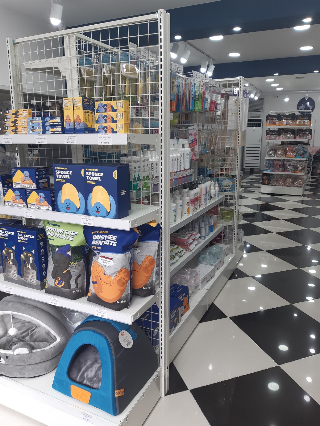 도그마캣 남원점 대표 이미지