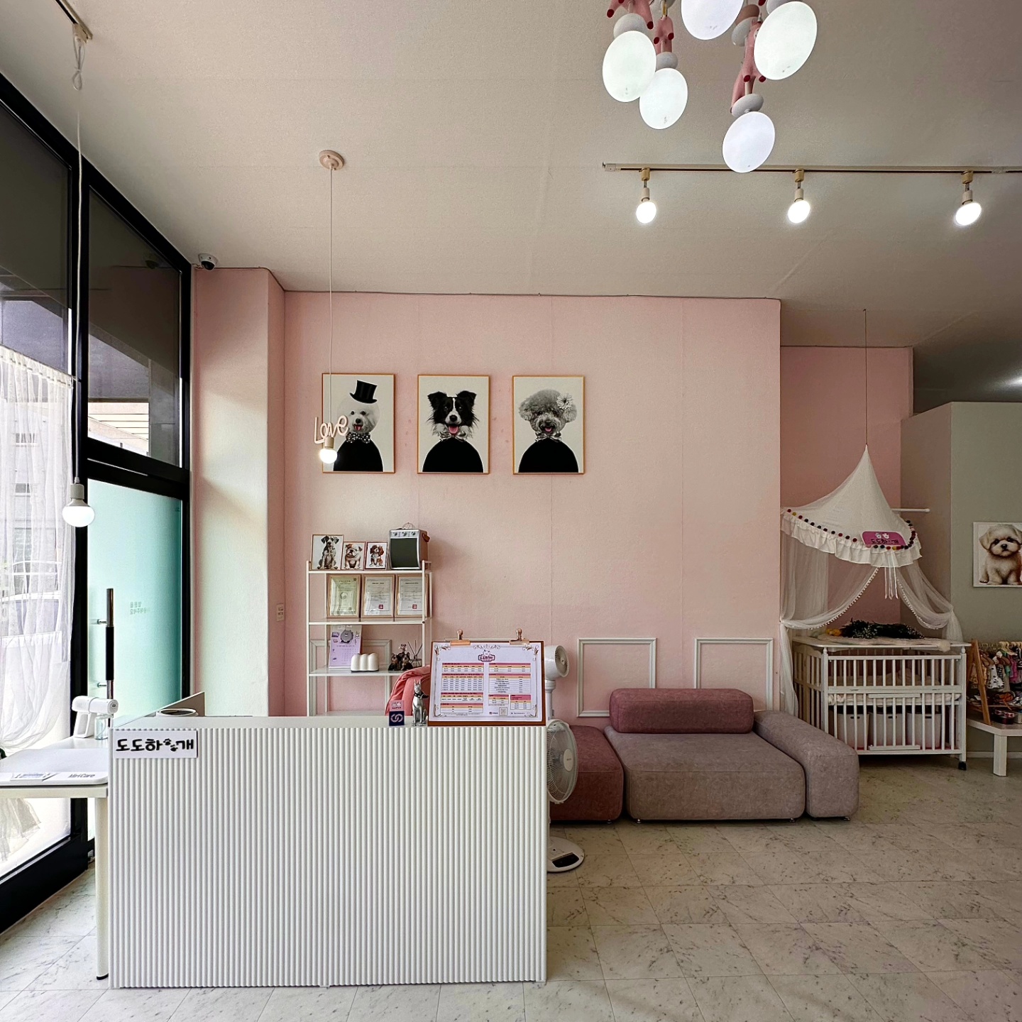 도도하개 이미지