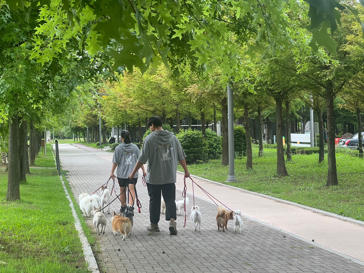 핀독 애견 호텔 대표 이미지