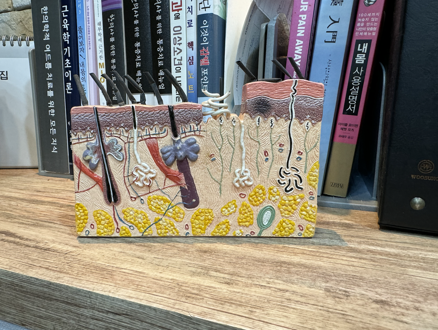 청하당한의원 대표 이미지