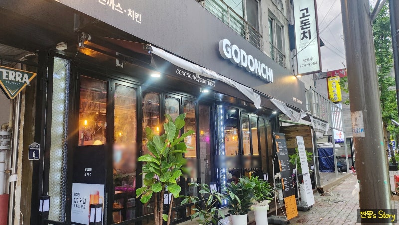 고돈치브라더스