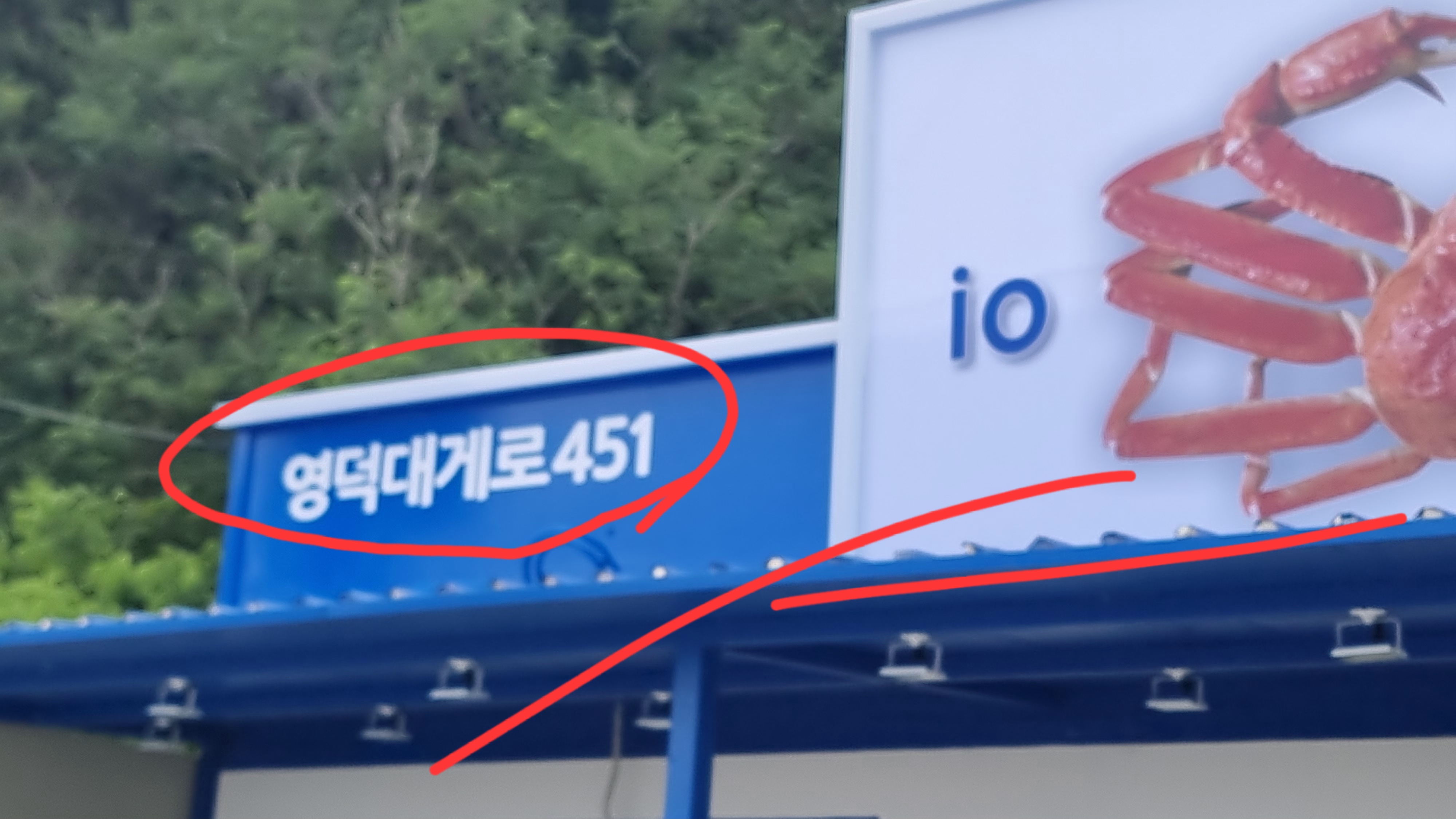 영덕강구항대게맛집이오 하저점