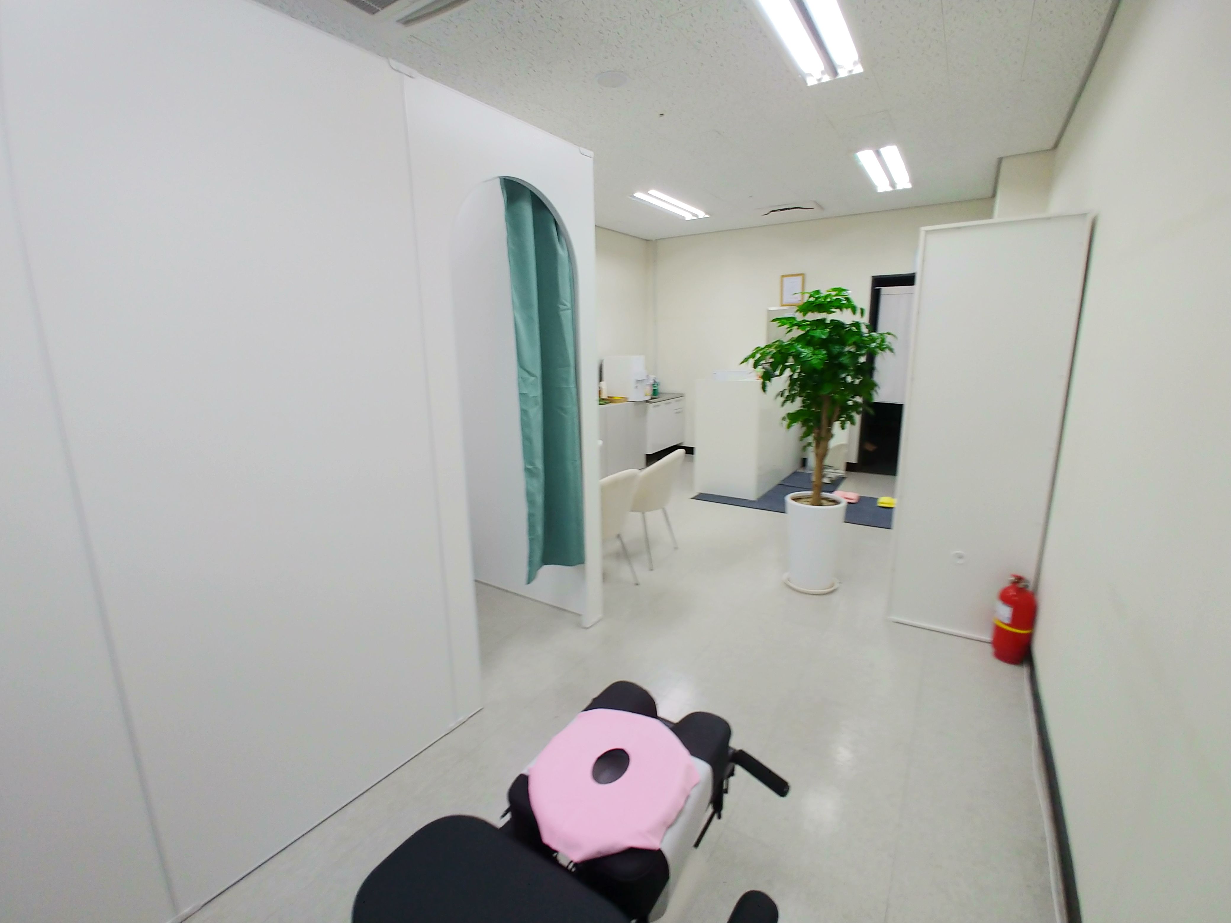근골명가