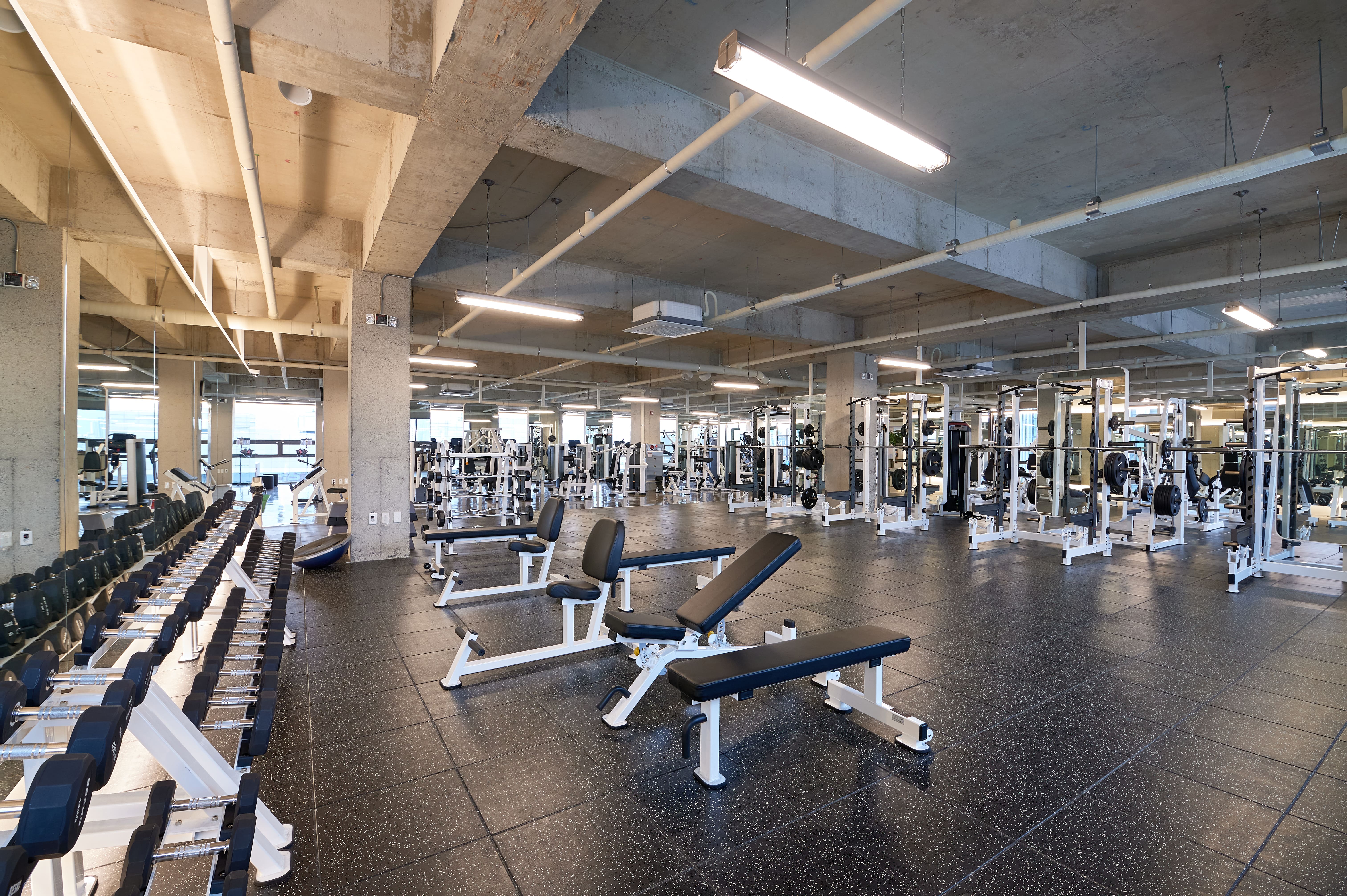 짐팩토리 헬스&PT 대표 이미지