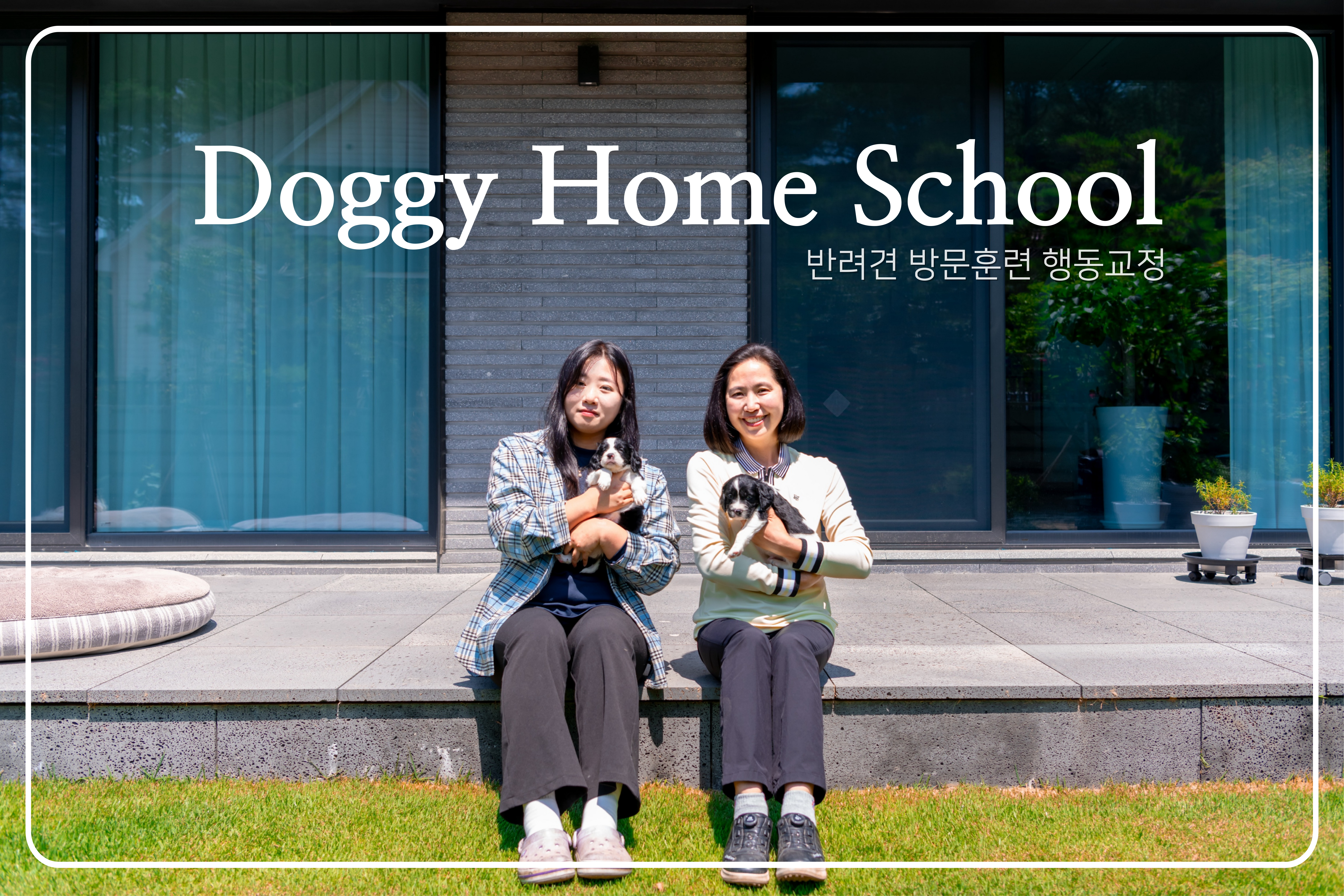 도기홈스쿨 대표 이미지