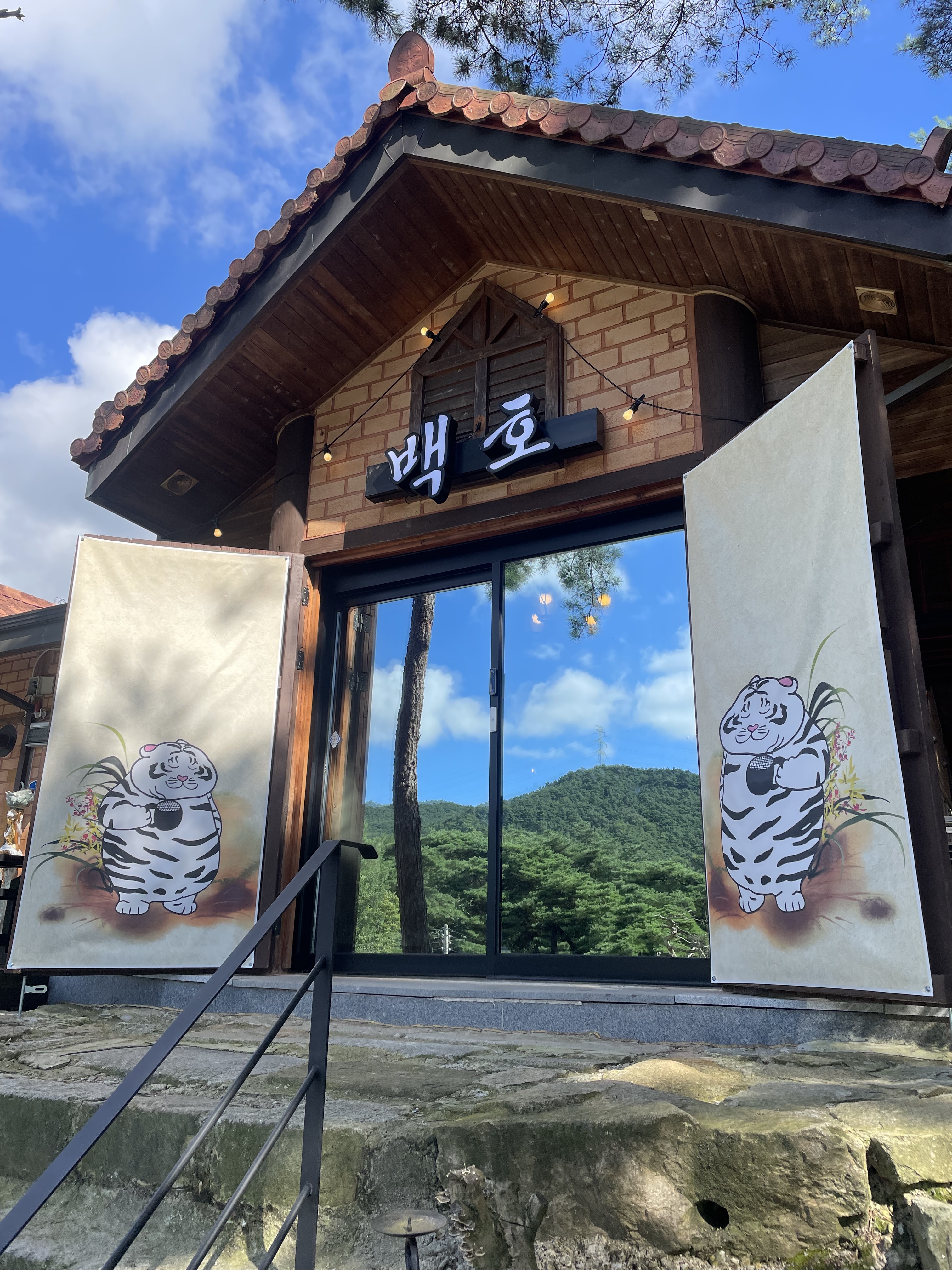 백호