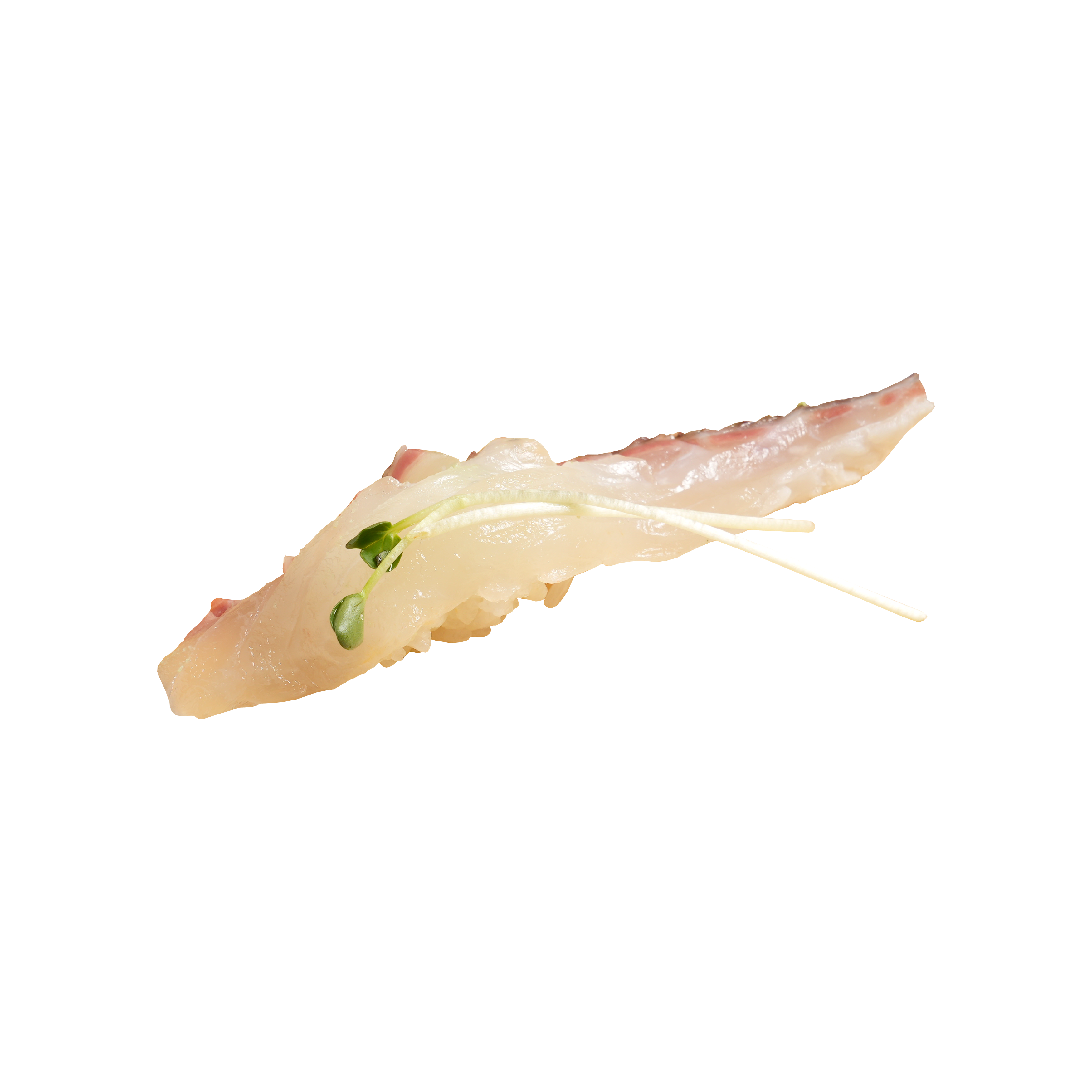 Red Sea Bream Masukawa