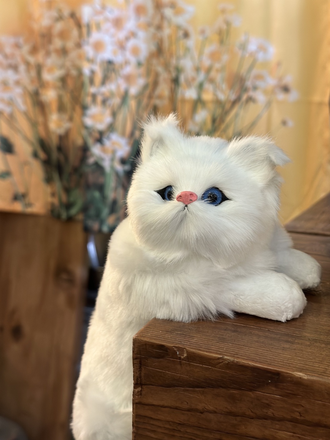 카페포 옹