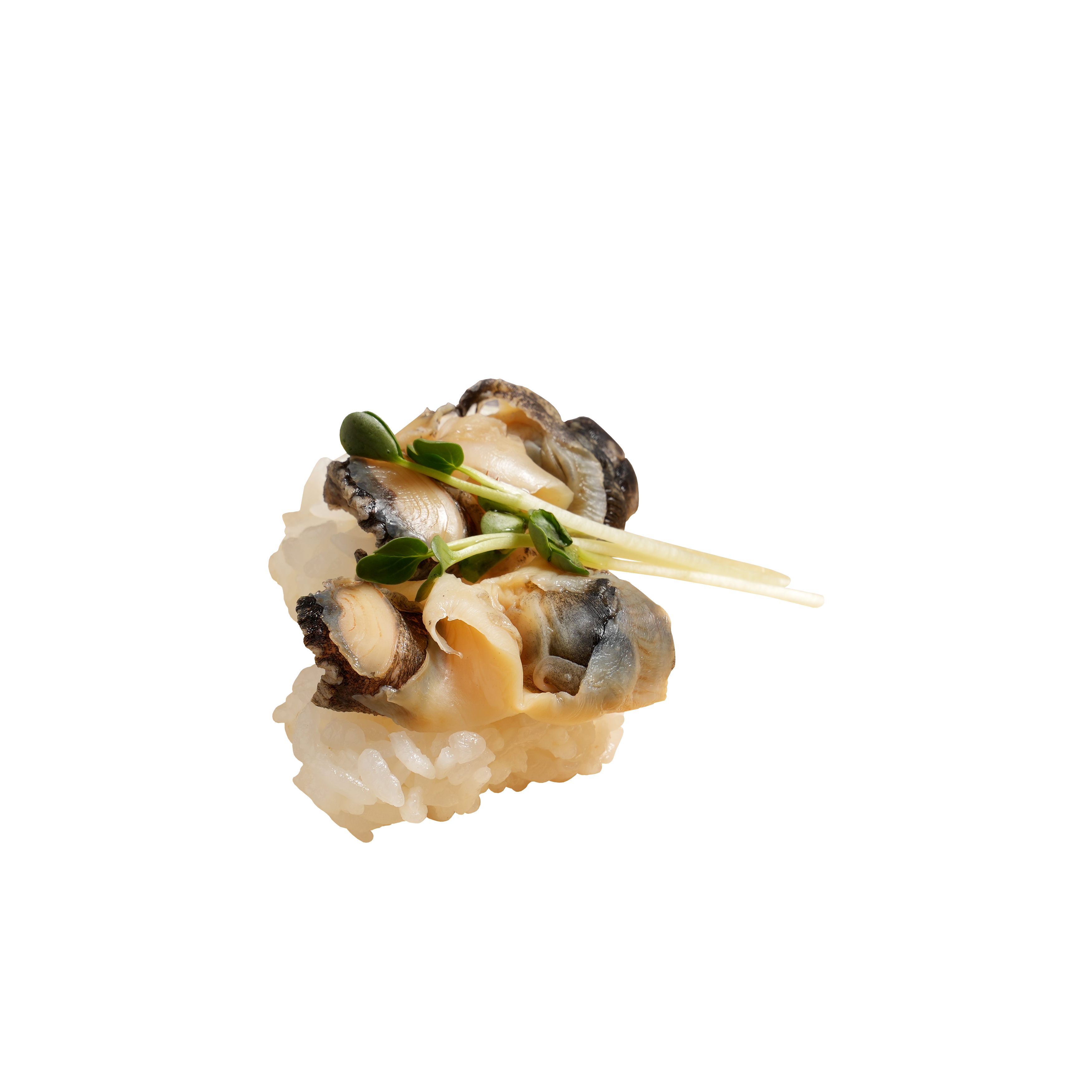 Conch