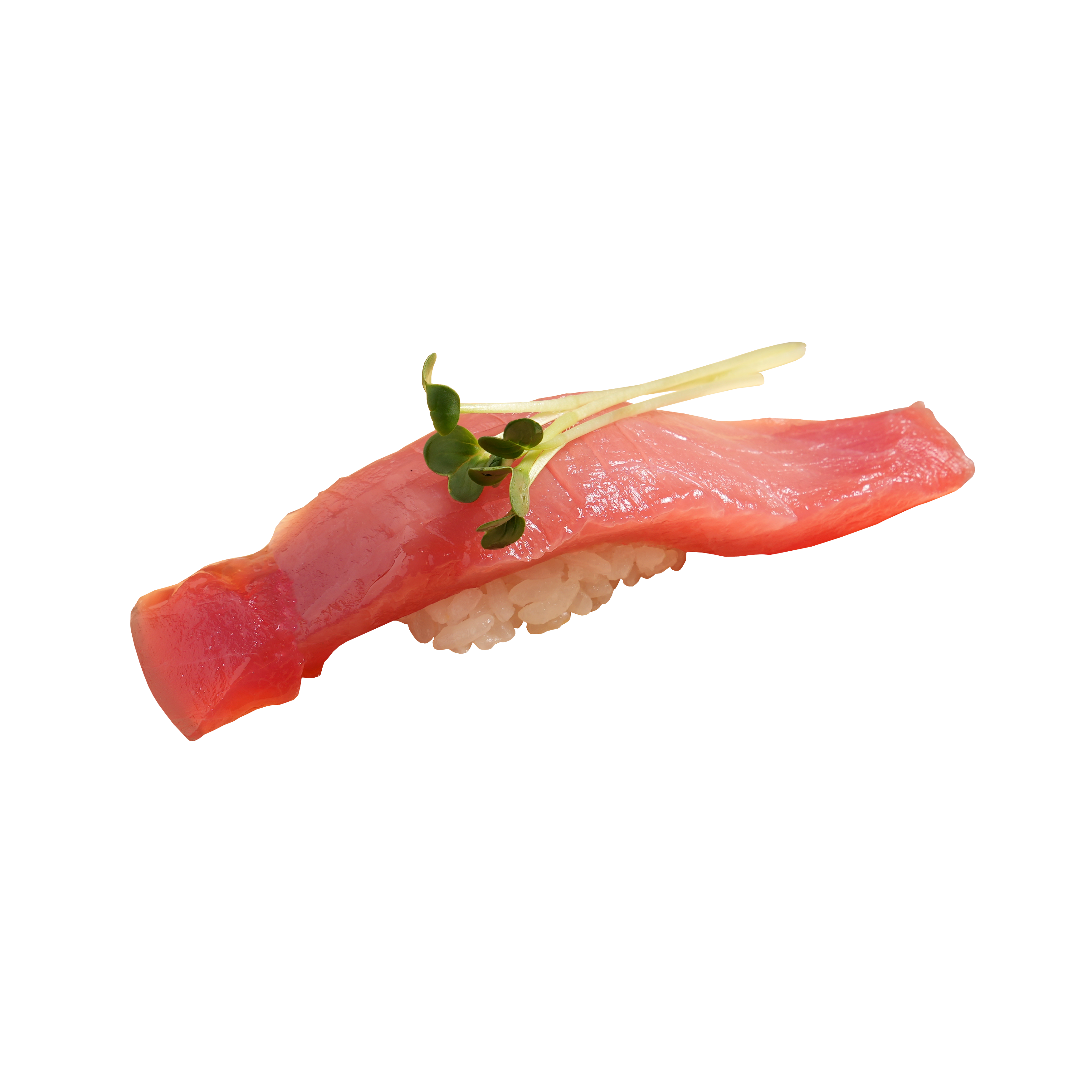 Tuna Loin (Akami)